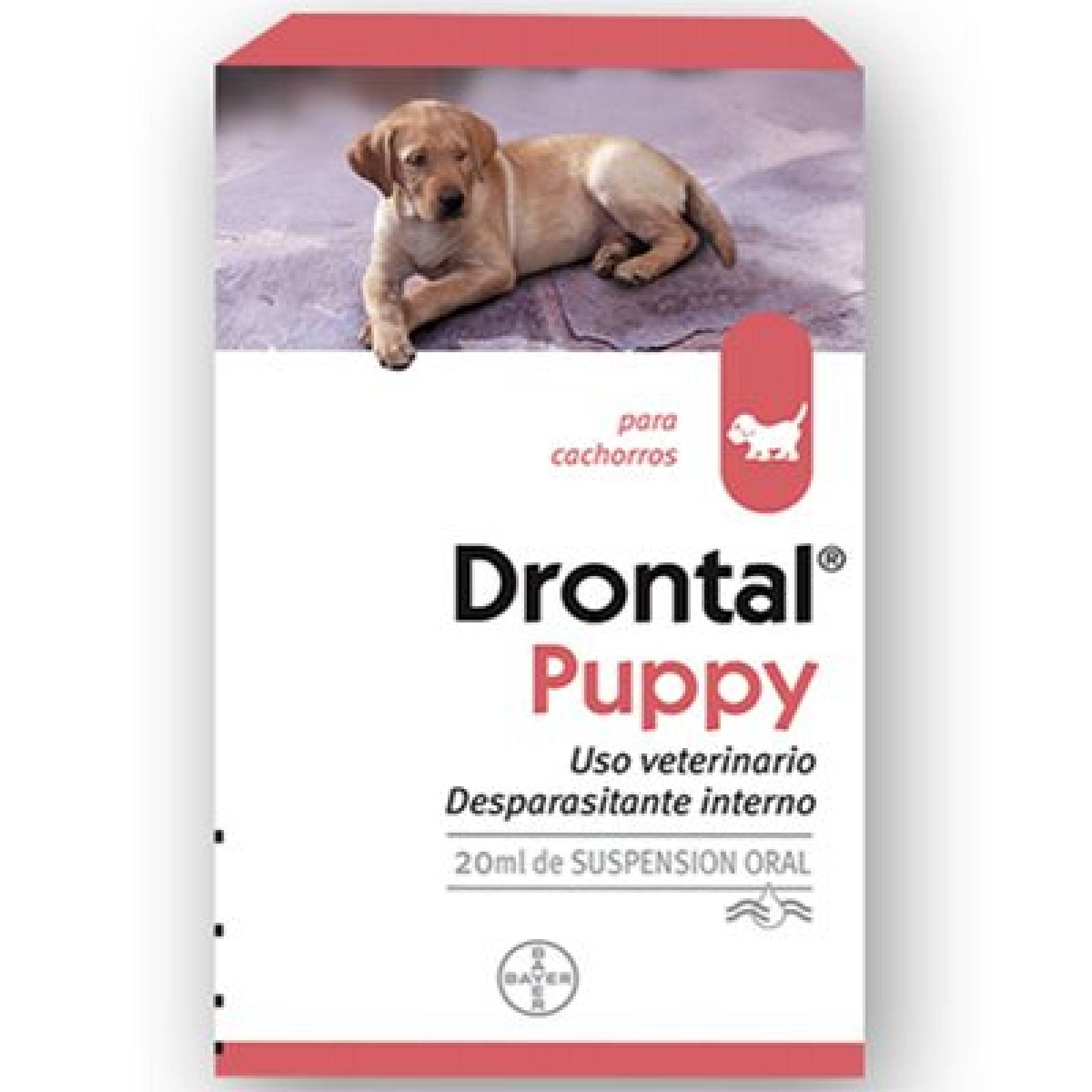 DRONTAL Desparasitante Para Cachorro 20 ml