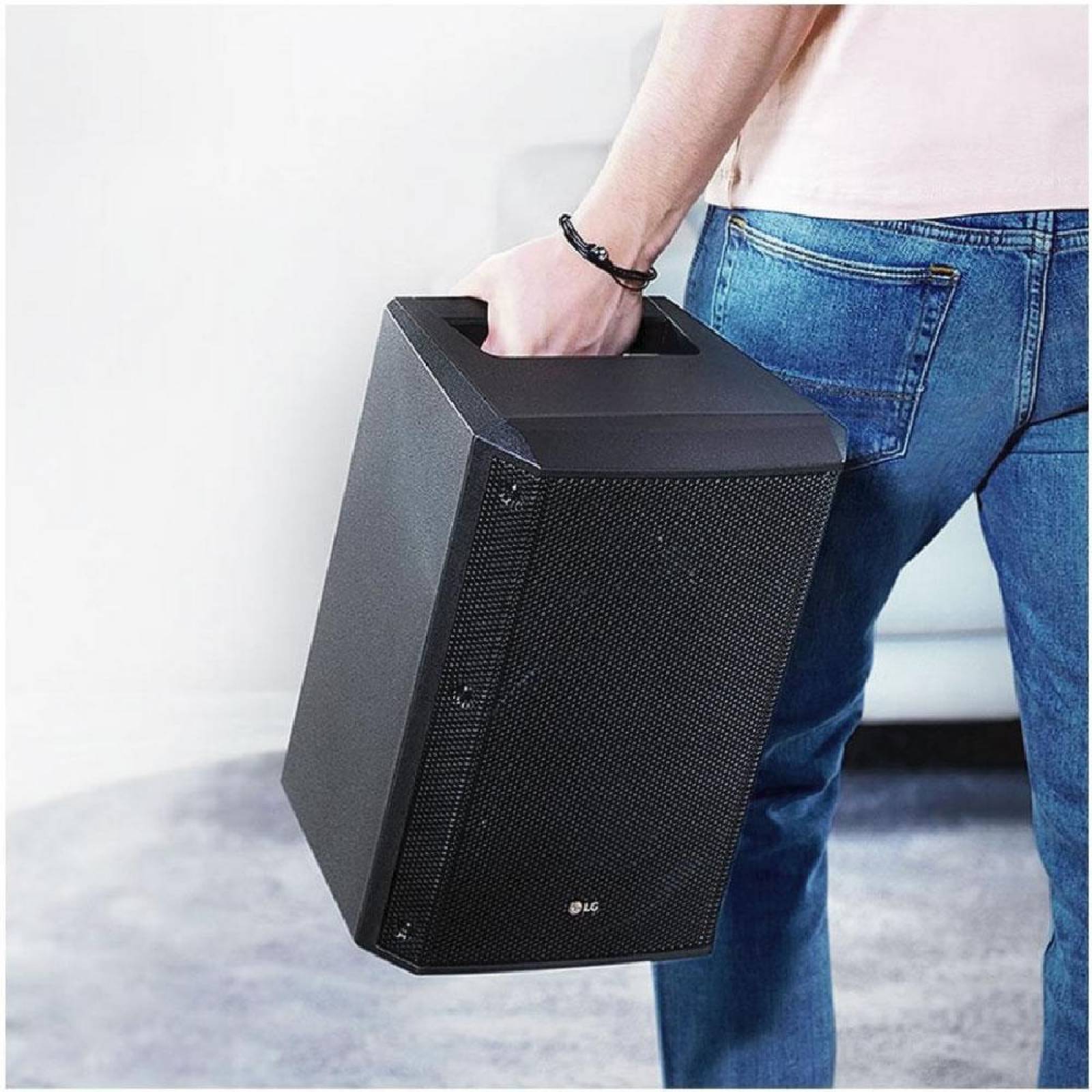 Bafle RM1 8" Bateria Recargable Bluetooth USB LG