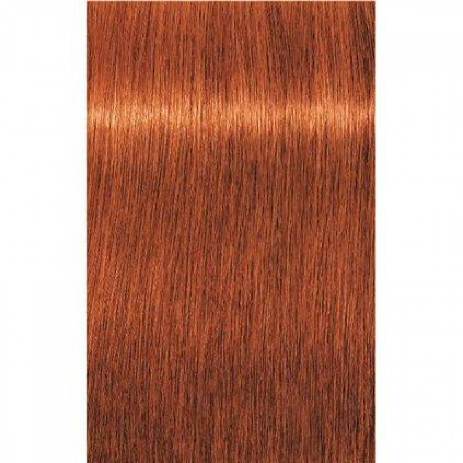 Tinte 7-77 Igora Royal Rubio Medio Schwarzkopf 60 Ml