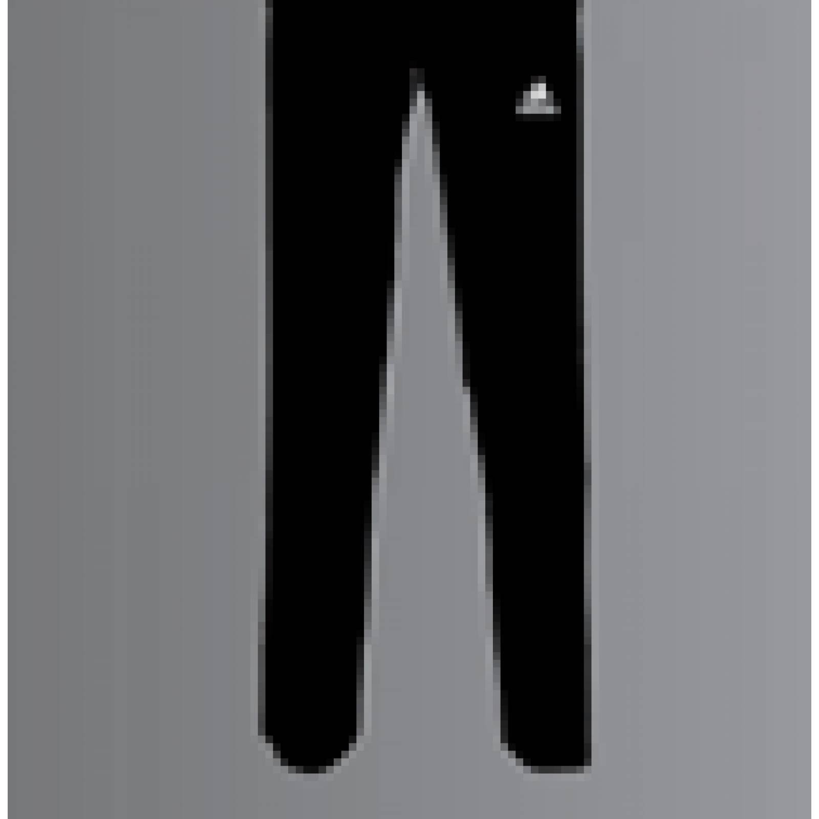 Adidas pants negro EG