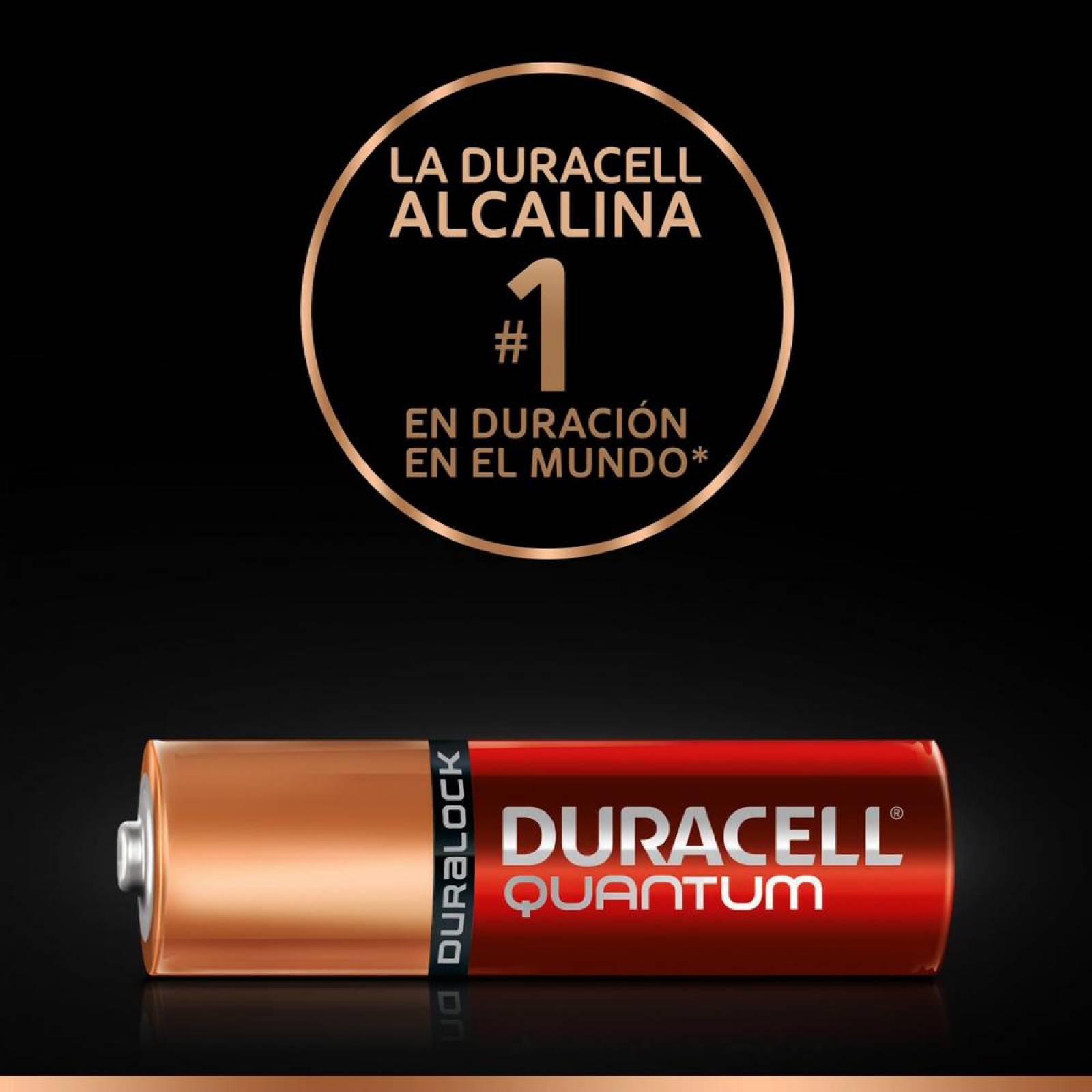 PILA DURACELL QUANTUM AA CON 10 