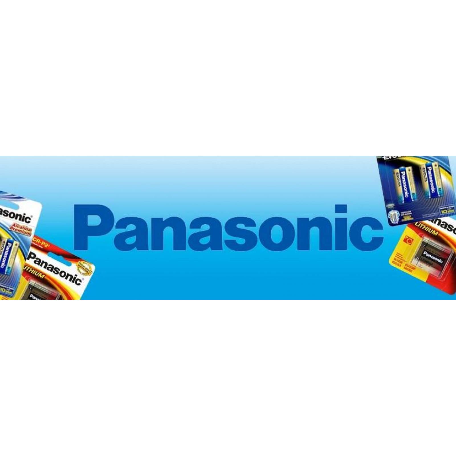 Pila Panasonic Evolta Alcalina Aaa Tira Con 6 Pilas 