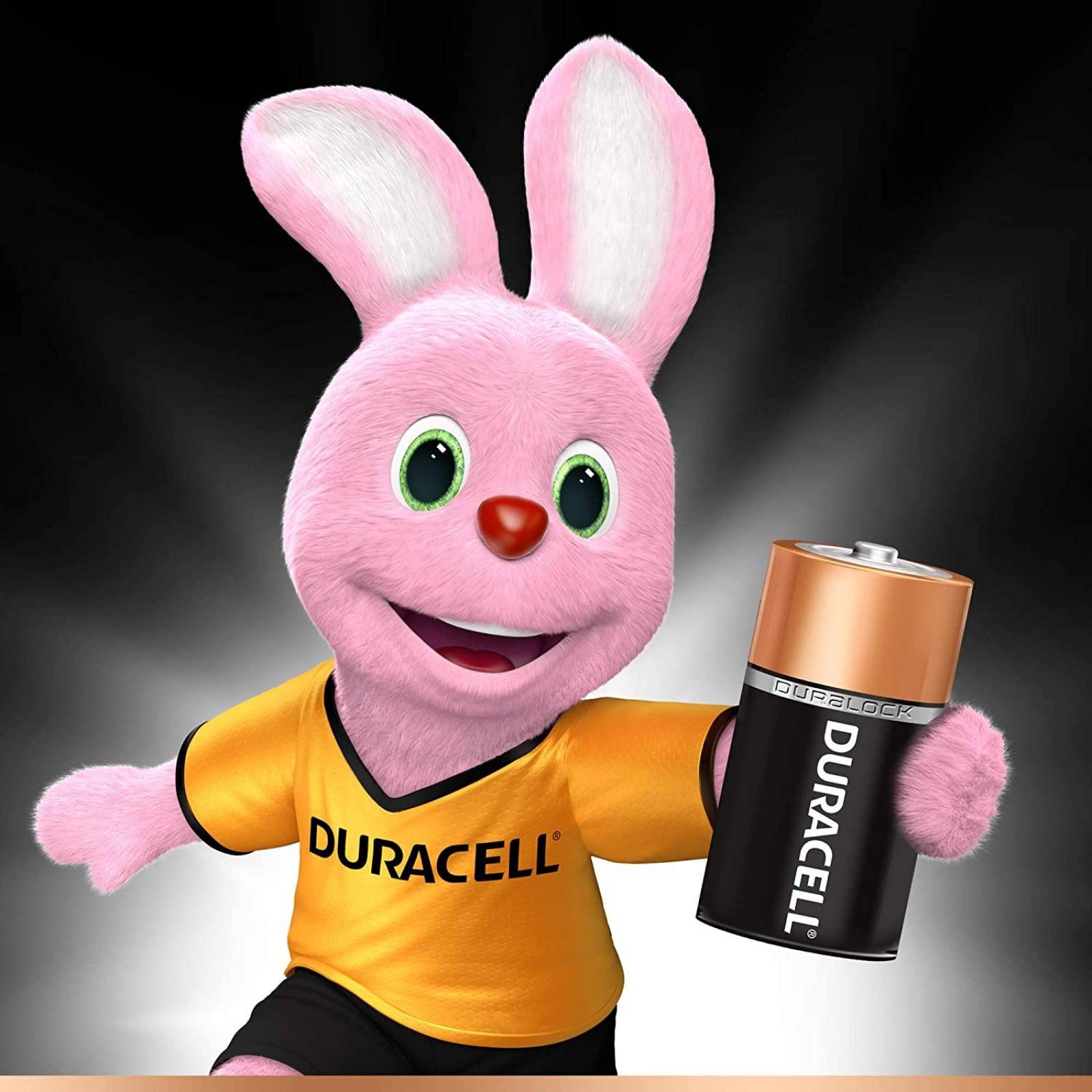 Pila Duracell Alcalina C Con 2 Mn1400b2 Gorda Chica 
