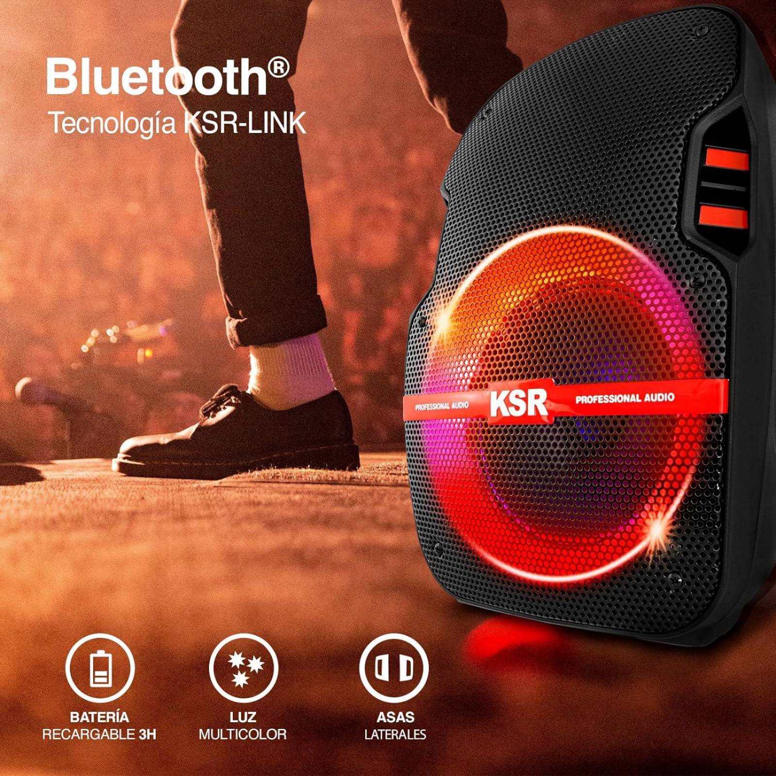 BAFLE BOCINA KSR KSW-5008 8 PUL RECARGABLE Auxiliar USB