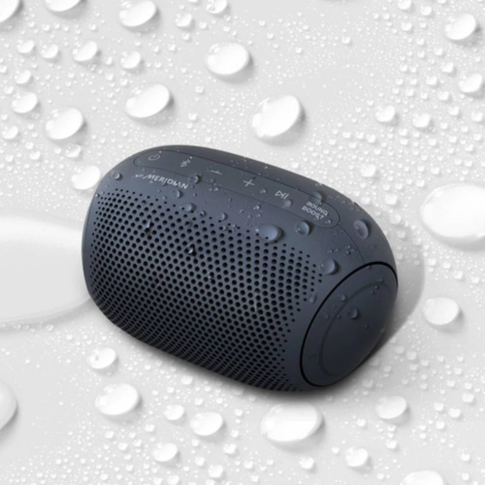 Bocina Portátil LG Xboom Go Pl2 Bluetooth Ipx5 Meridian Negr