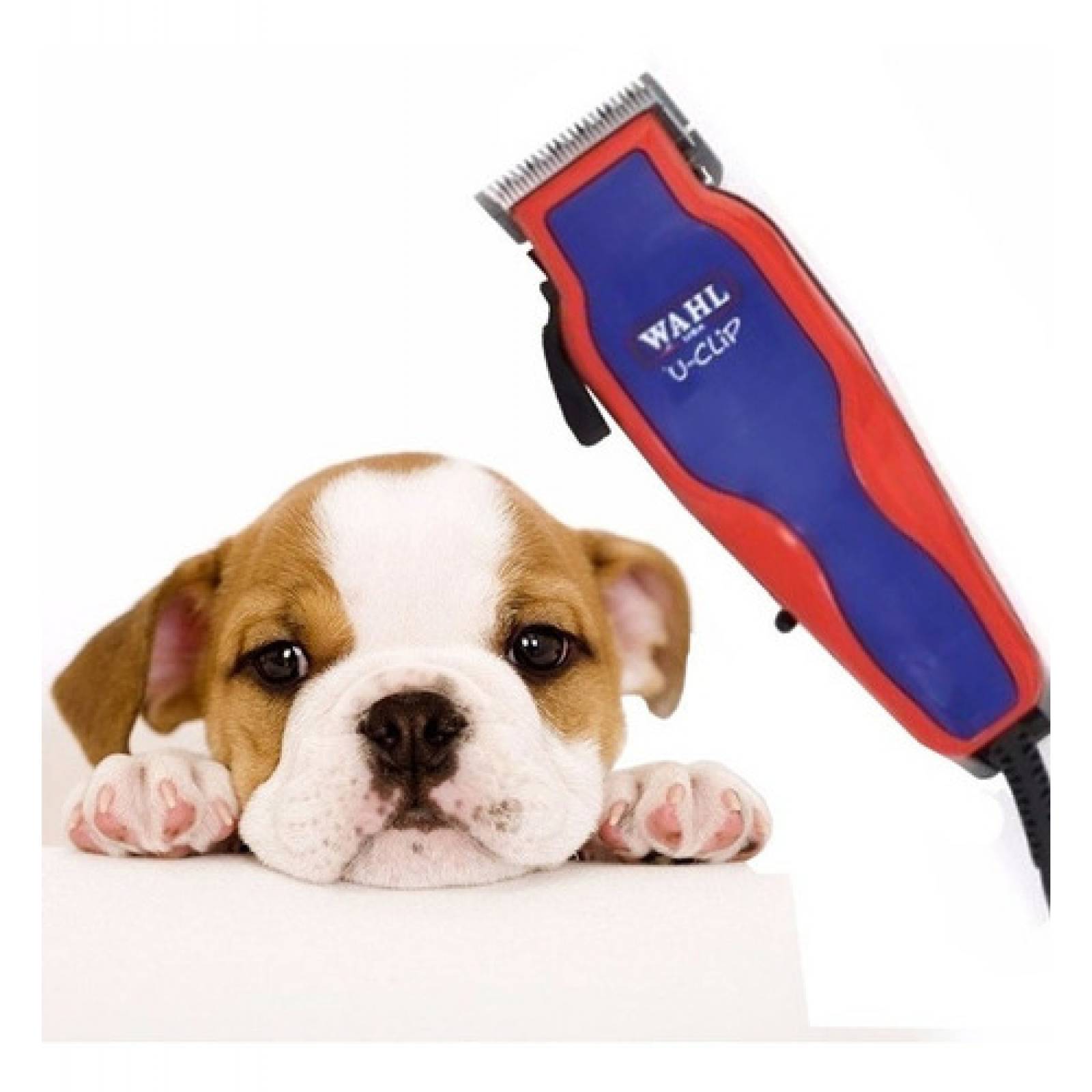 Rasuradora para mascotas discount wahl