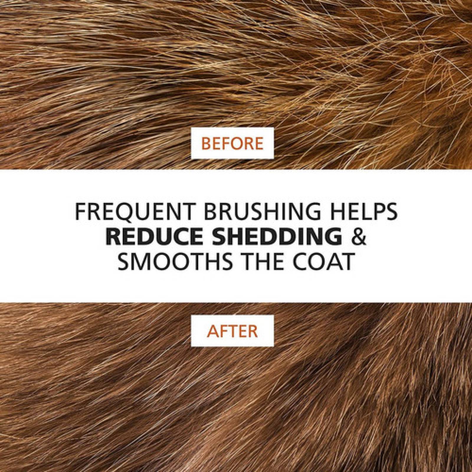 Cepillo Doble Cabezal Wahl Perros gatos Estimula Y Da Brillo