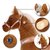 Caballito Montable Pony Cycle Con Ruedas De 4 a 9 años U424(CL) 