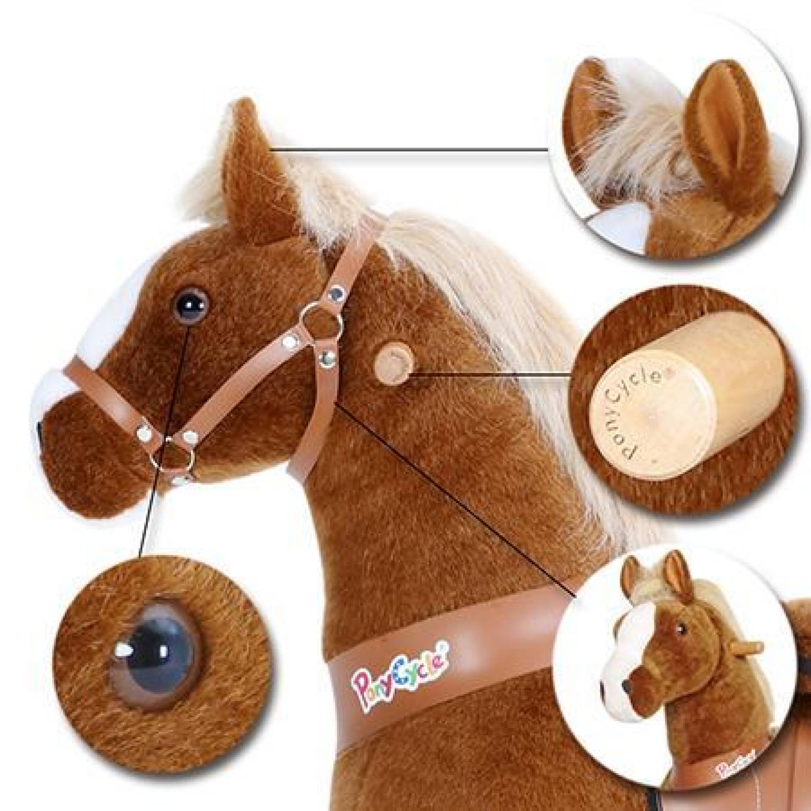 Caballito pony