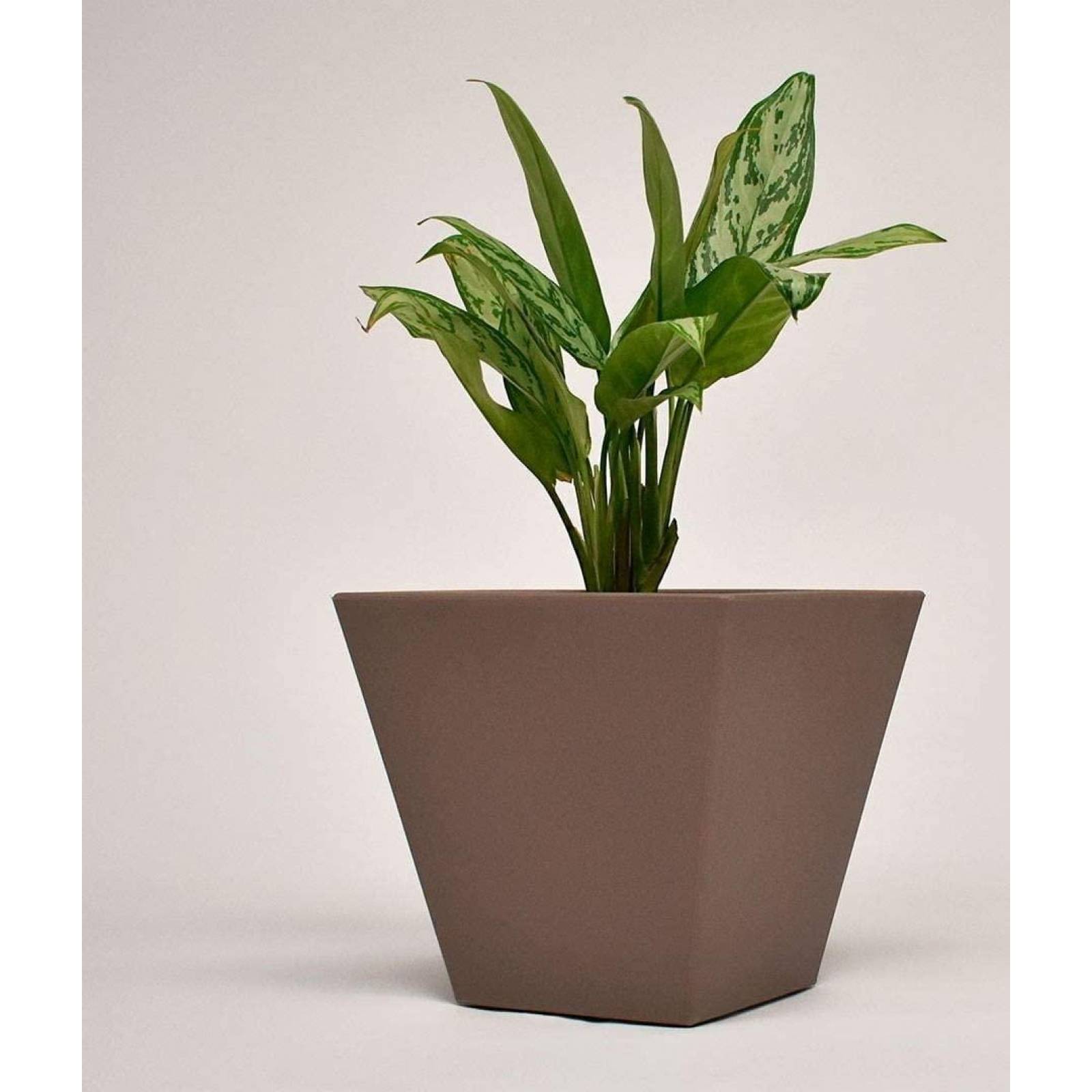 Maceta Plastica Cuadrada 30 x 30 cm Café