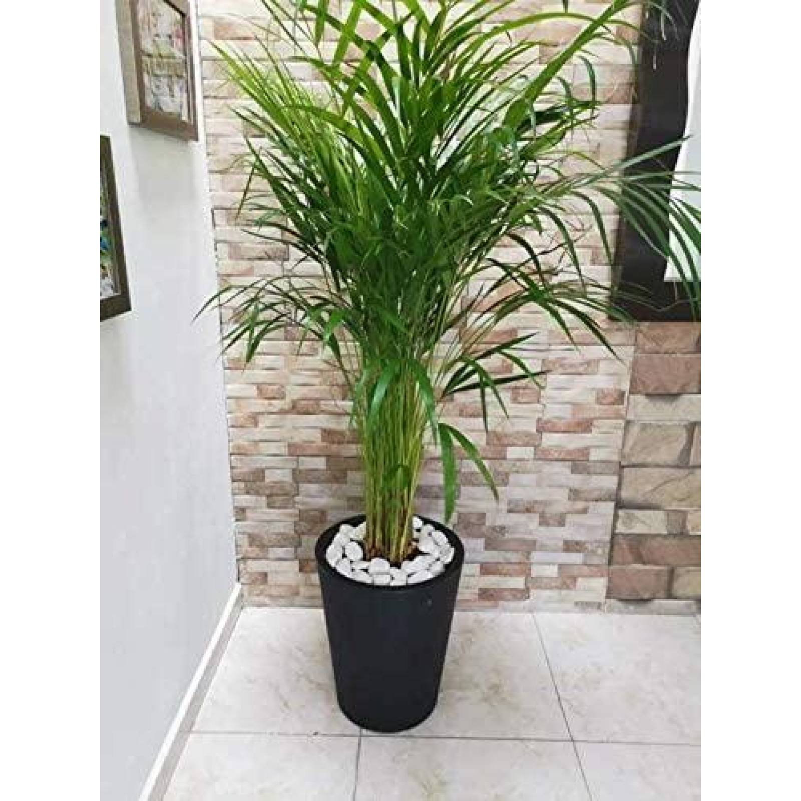 Maceta Plastico Redonda con Drenaje, 38 cm x 33 cm Negro