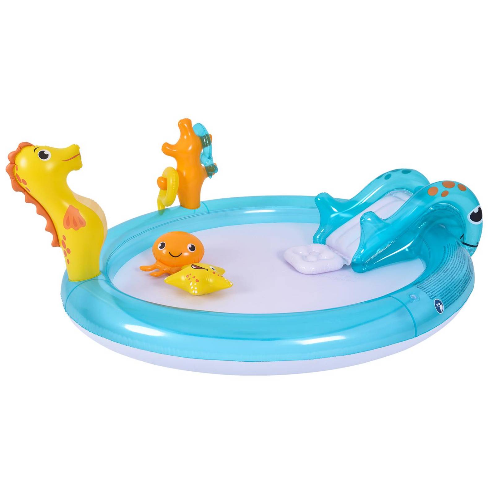 Alberca Piscina de Animales Marinos 