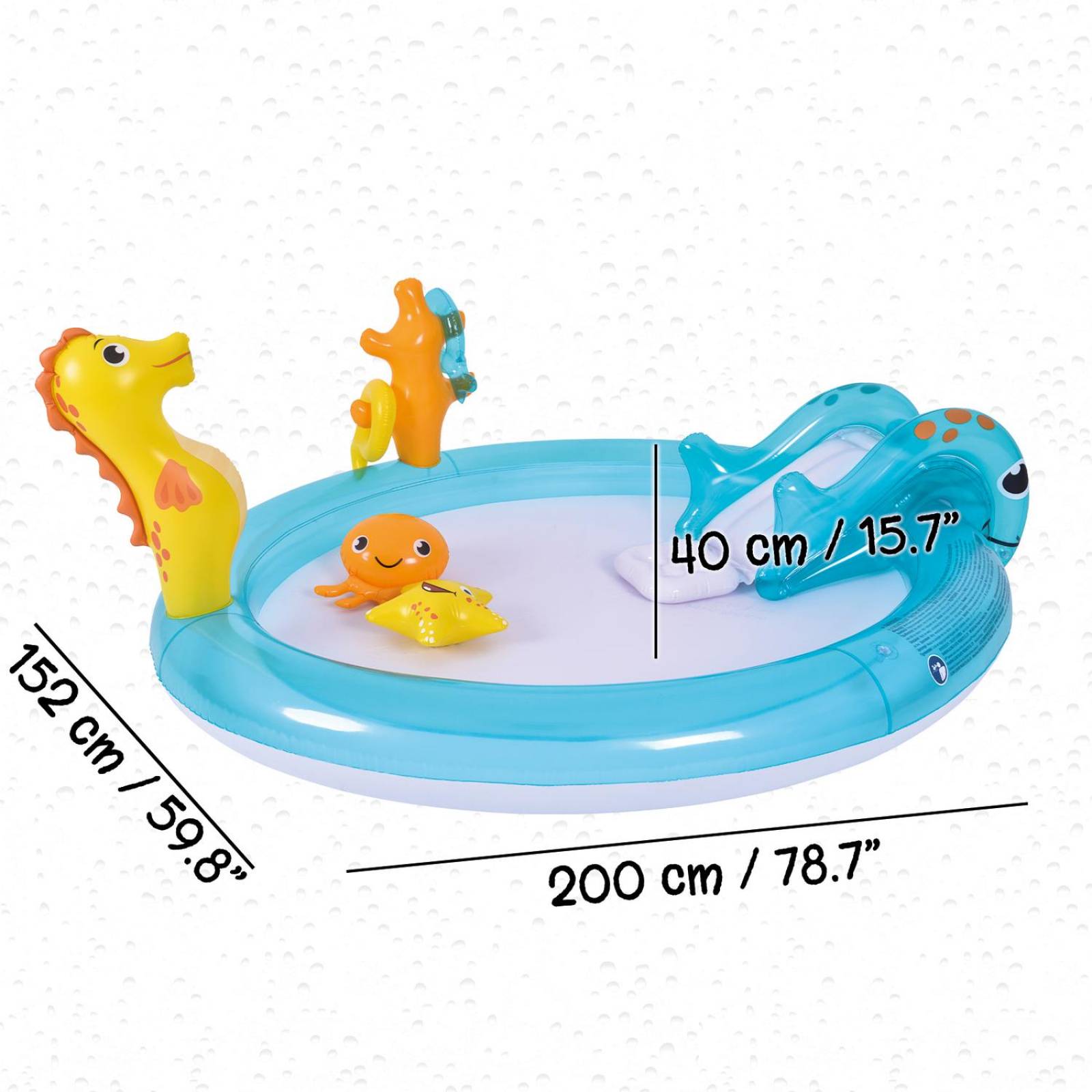 Alberca Piscina de Animales Marinos 