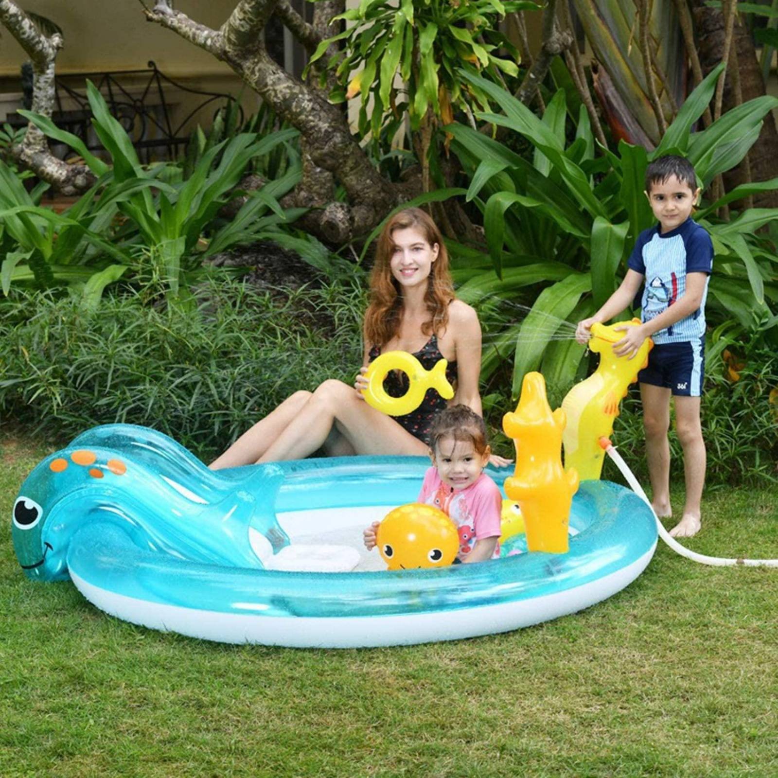 Alberca Piscina de Animales Marinos 