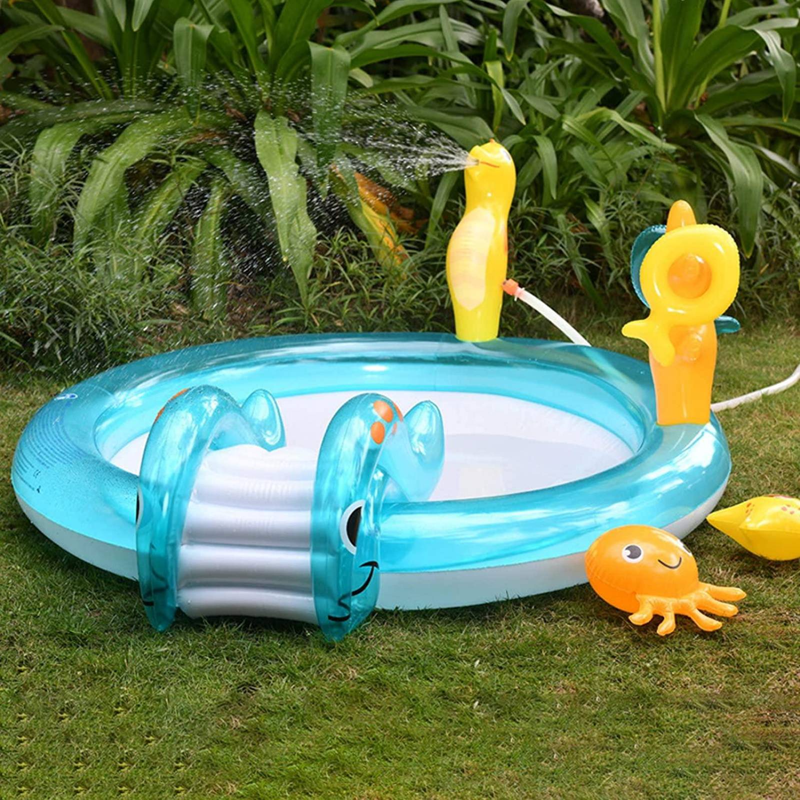 Alberca Piscina de Animales Marinos 