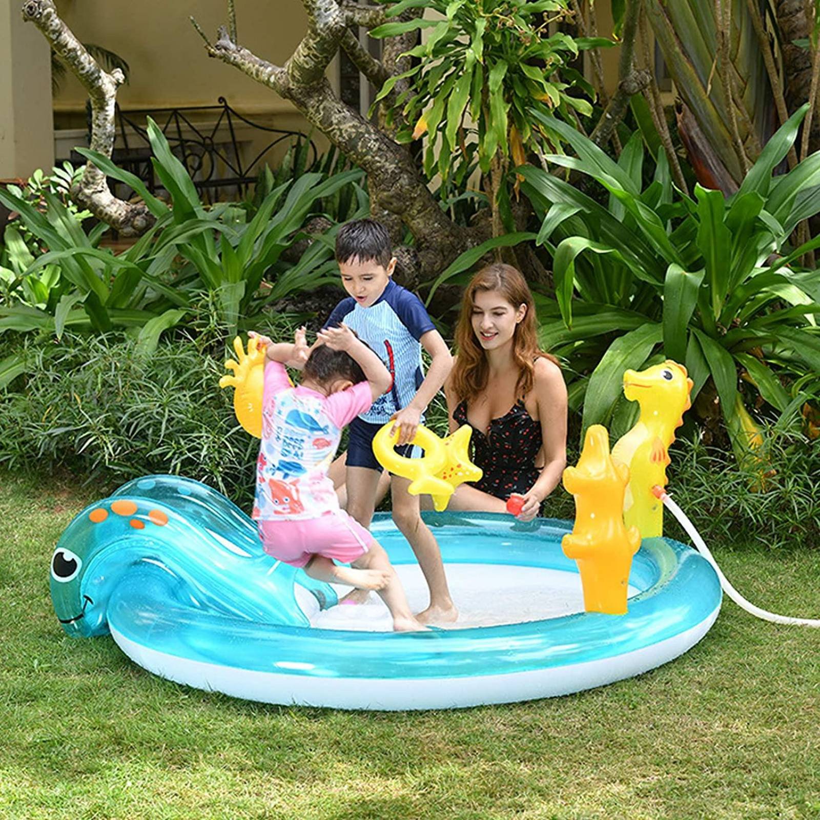 Alberca Piscina de Animales Marinos 