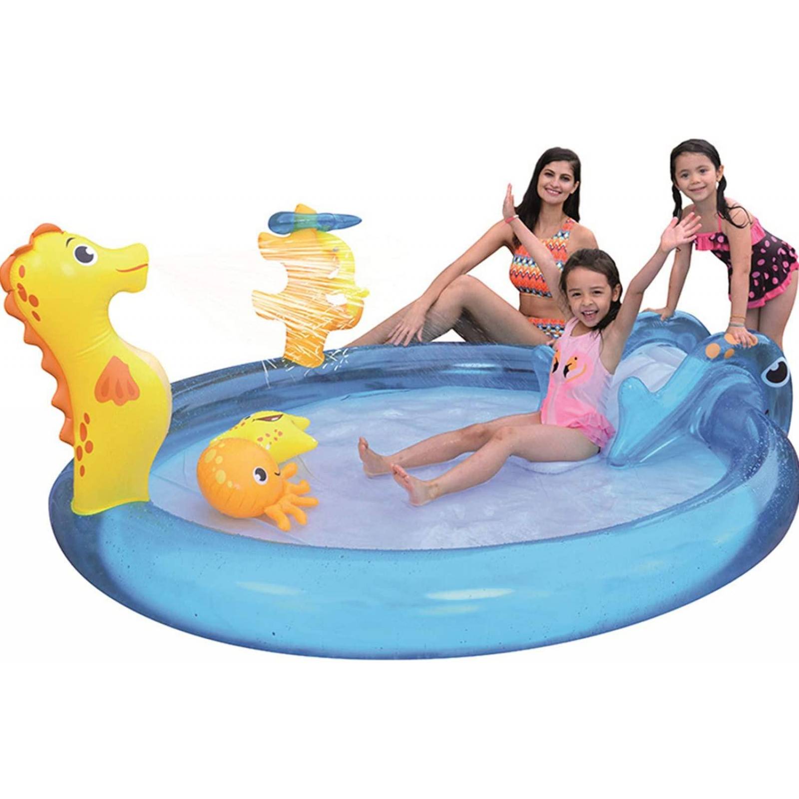 Alberca Piscina de Animales Marinos 