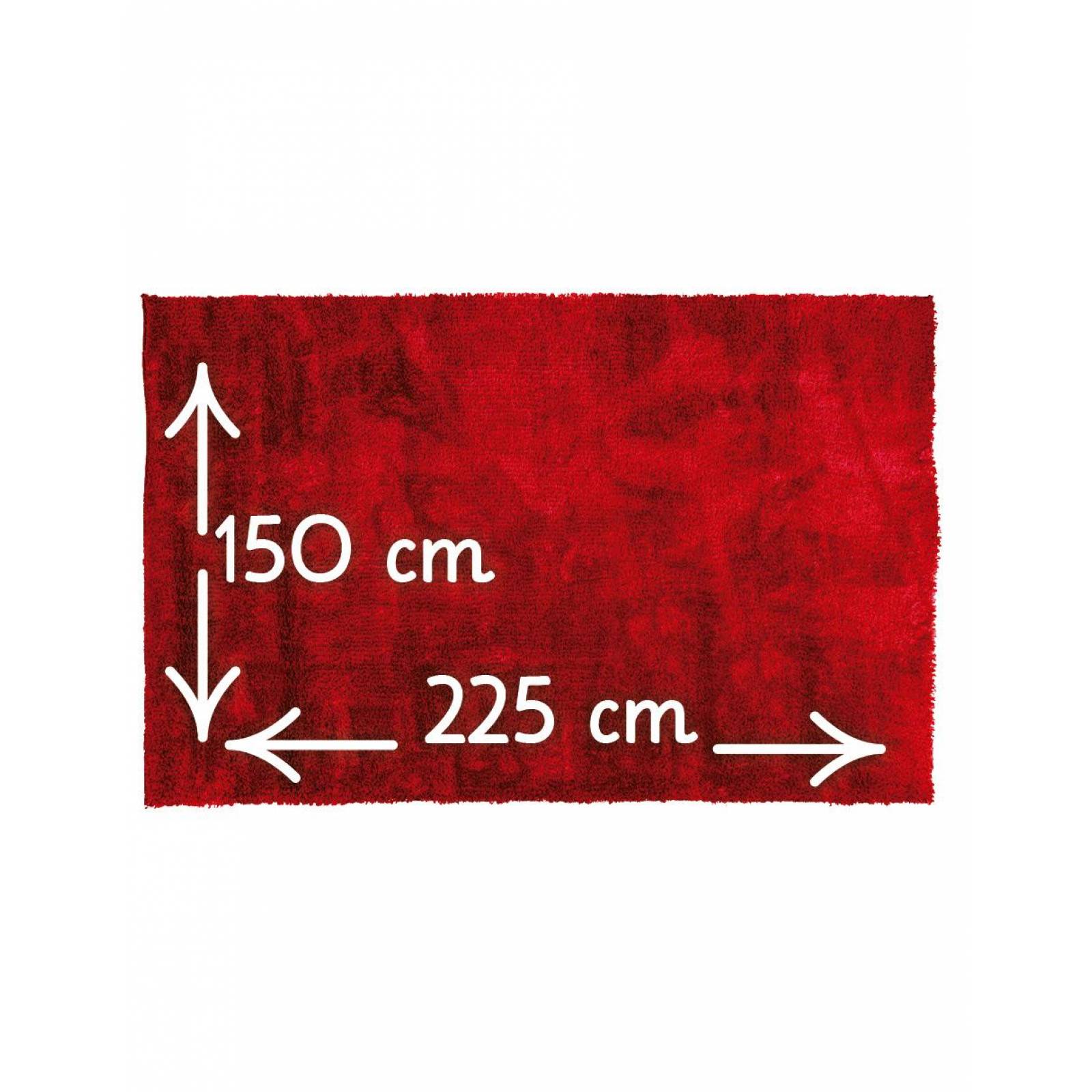 Tapete SHAGGY 1.50m x 2.25m Shaggy Rojo Rojo