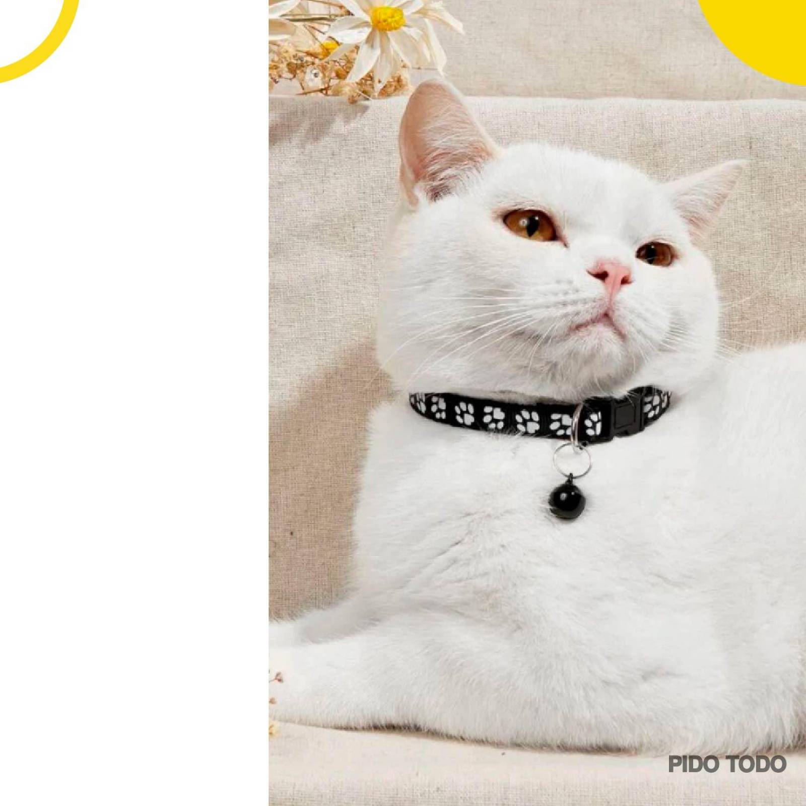 collar para mascota talla CH 19-32cm Negro