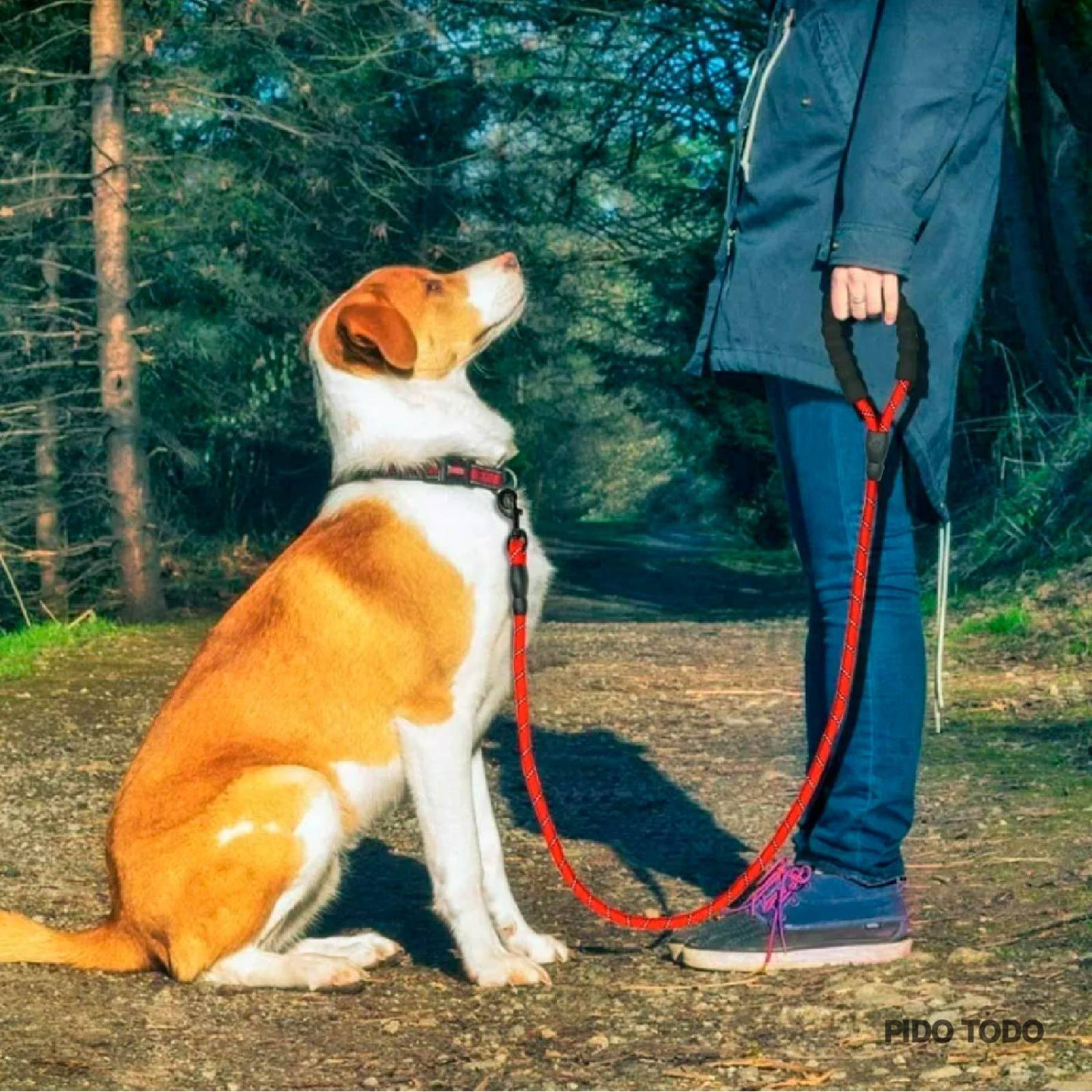 correa nylon para mascota 1.5 m largo Rojo