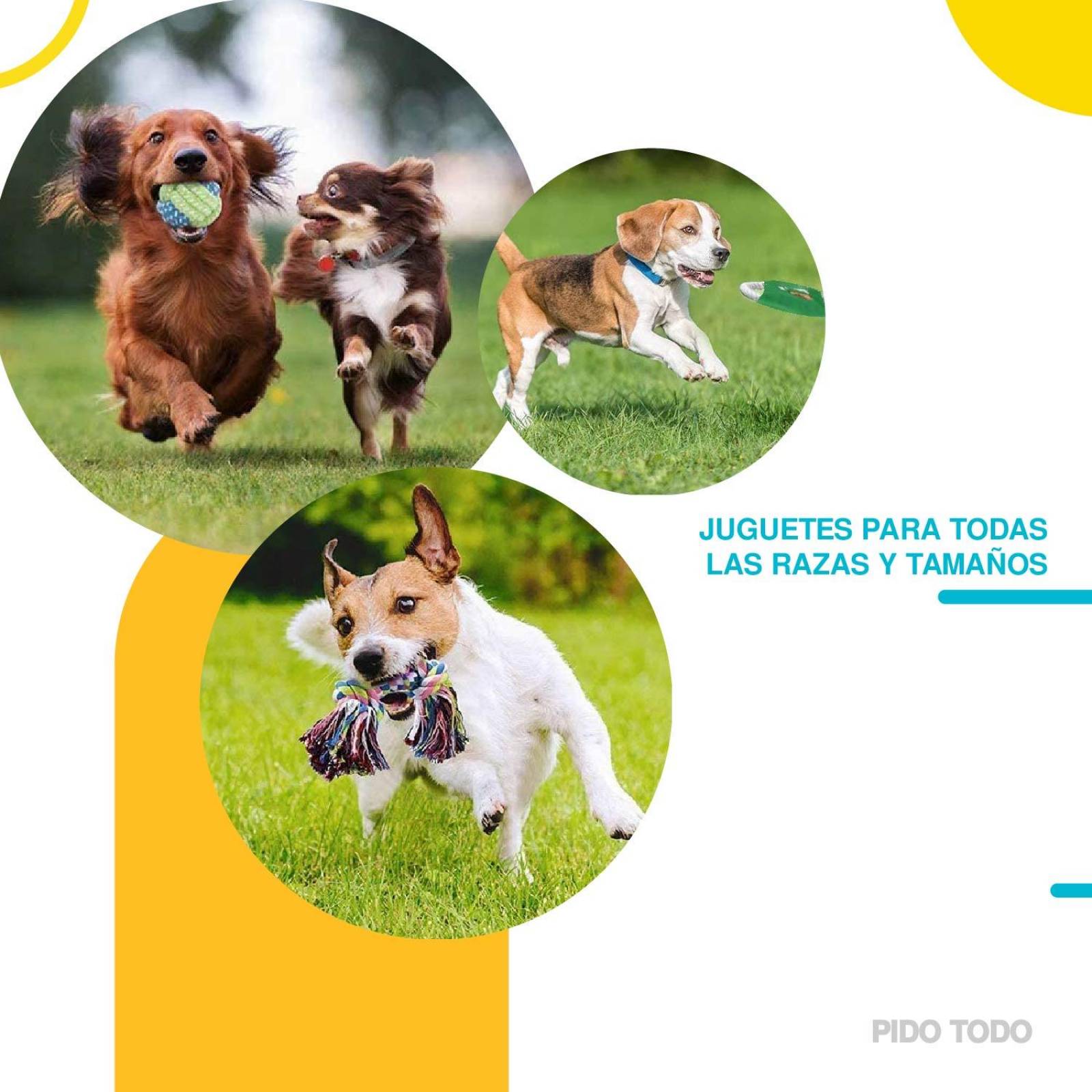 juguetes de cuerda para perro set 10 pzs 
