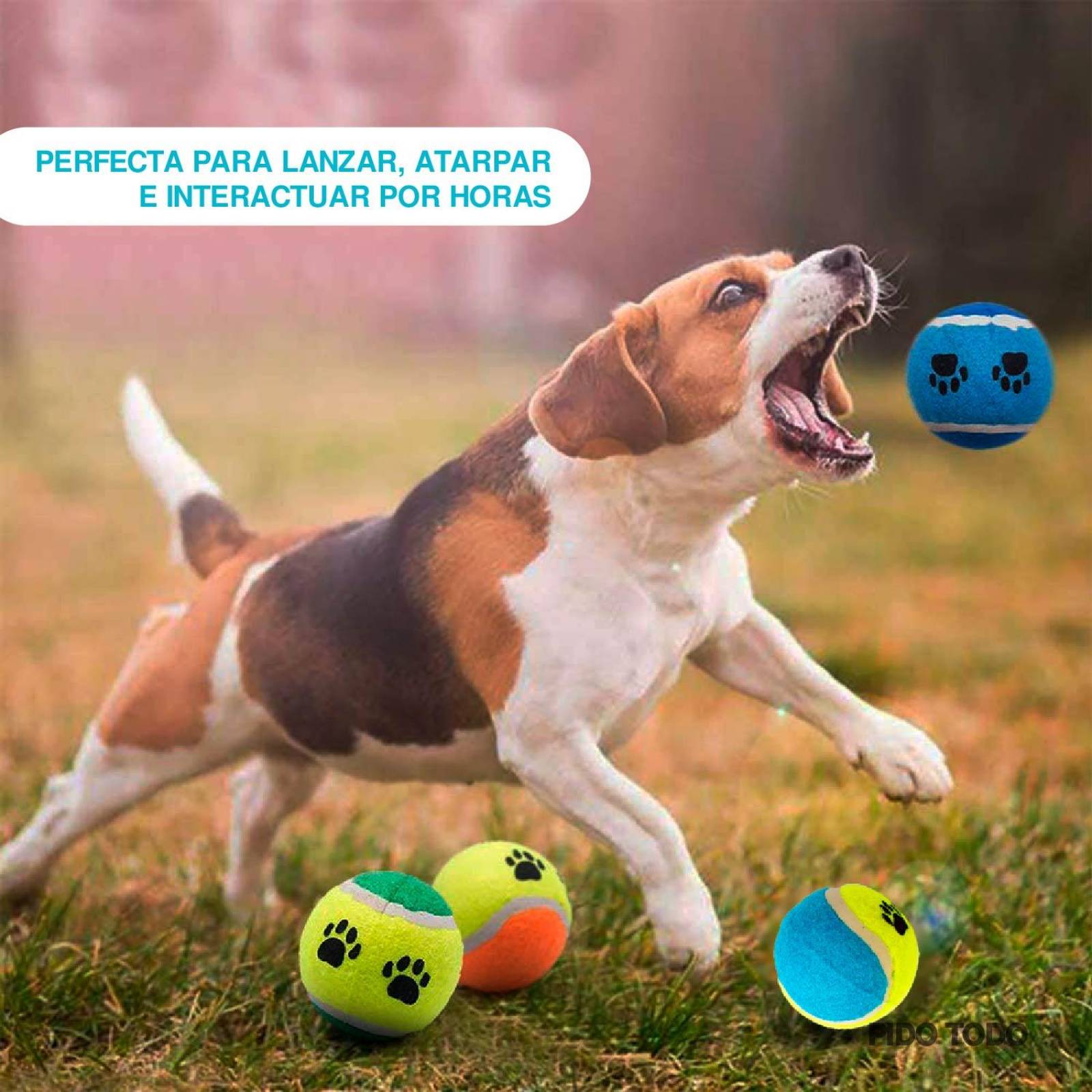 pelota de tenis para mascota set 4 pzs 