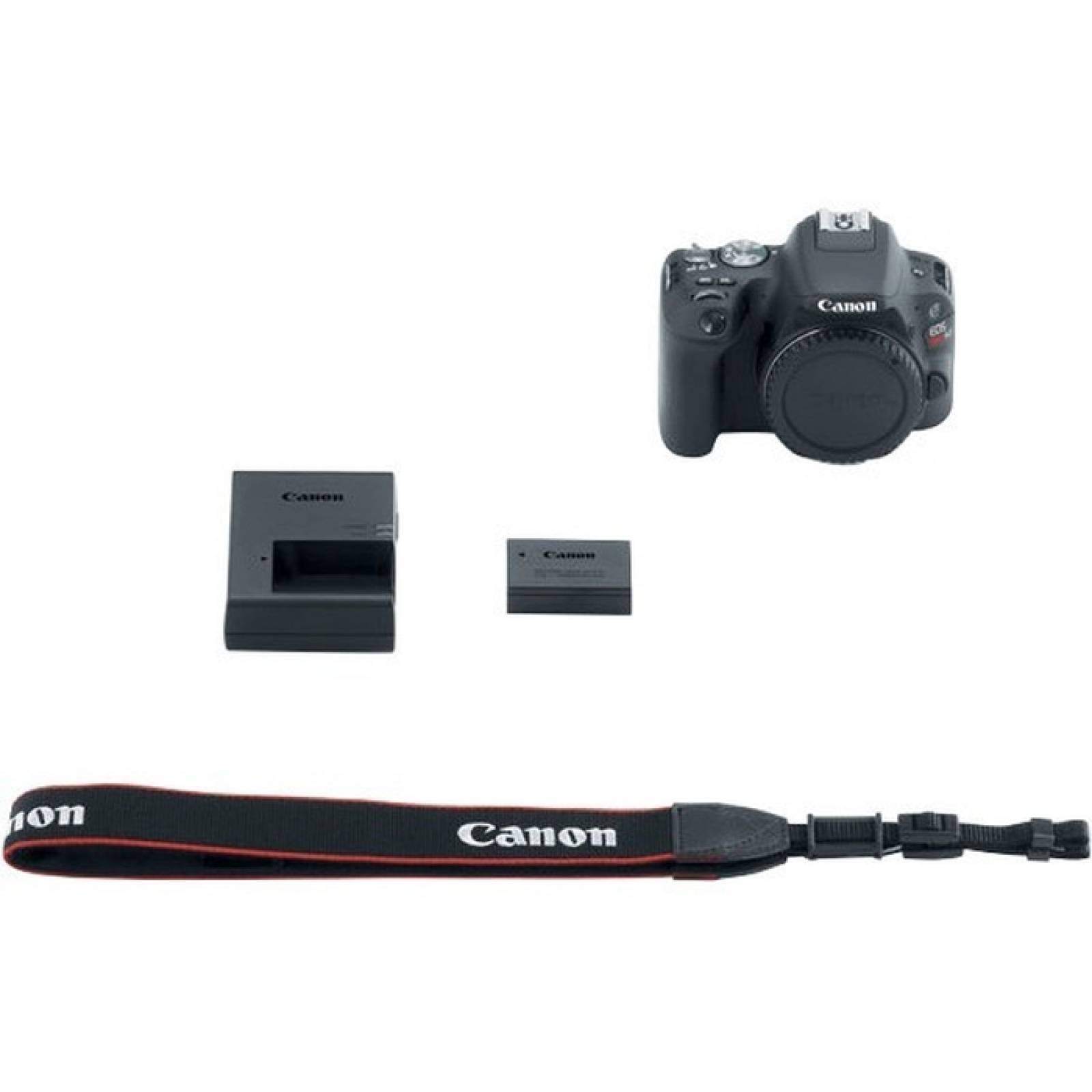 Cmara Canon EOS Rebel SL2 de 242 megapxeles con cmara digital SLR solo  Negro