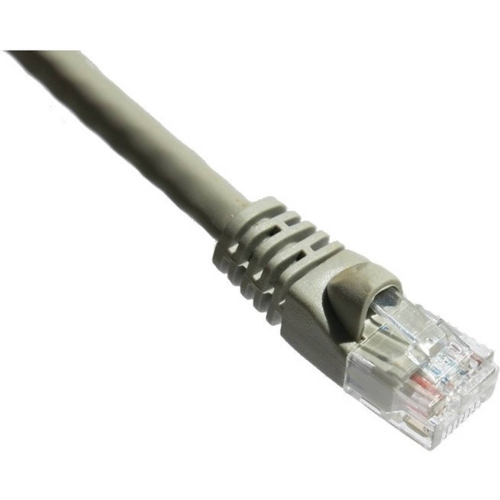 Cable de red UTP Axiom Cat6a Patch