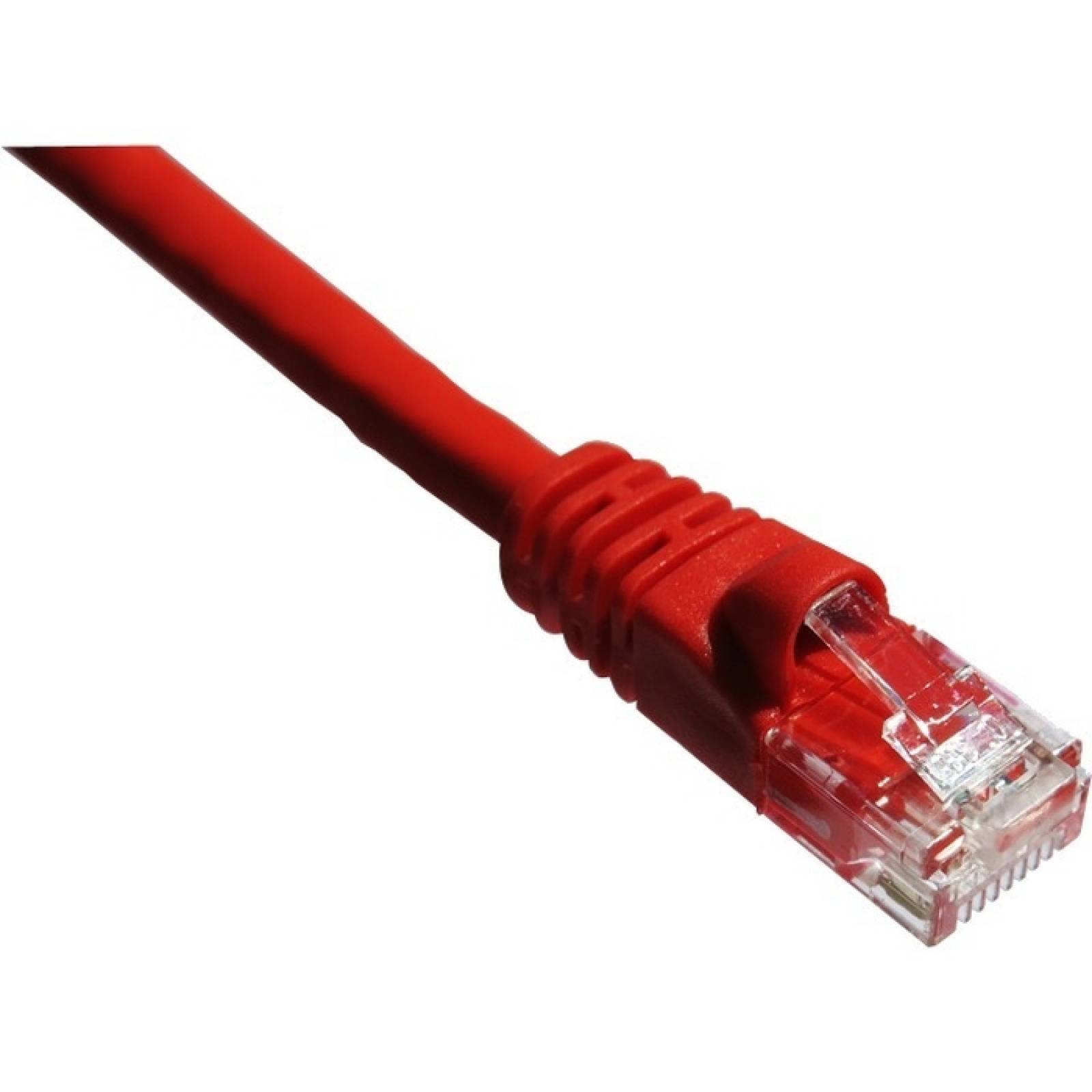 Cable de red Axiom Cat6a Patch