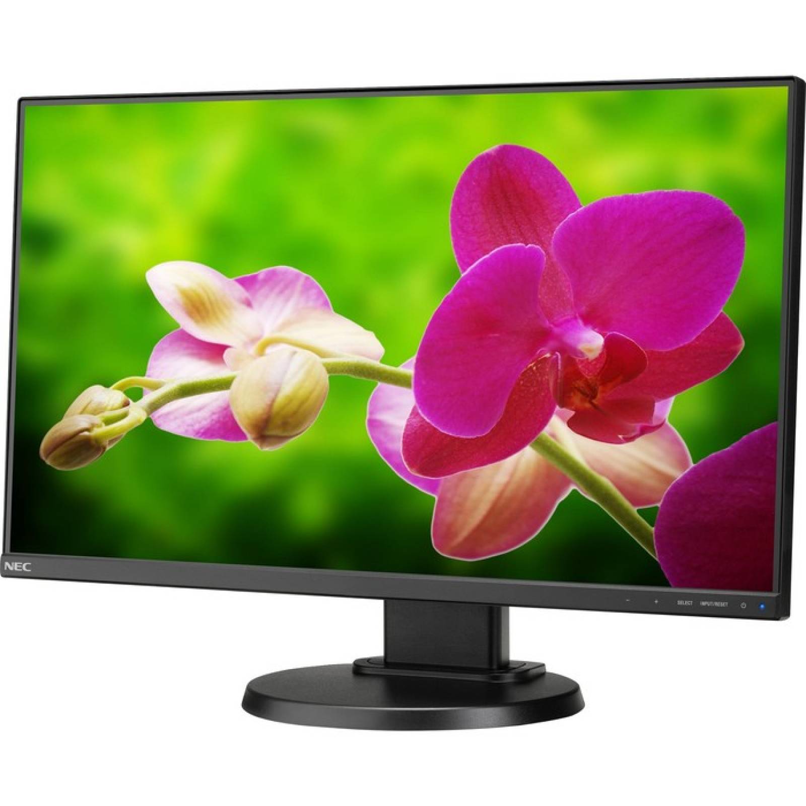 NEC Display MultiSync E241NBK Monitor LCD LED de 24 quot 16 9  6 ms