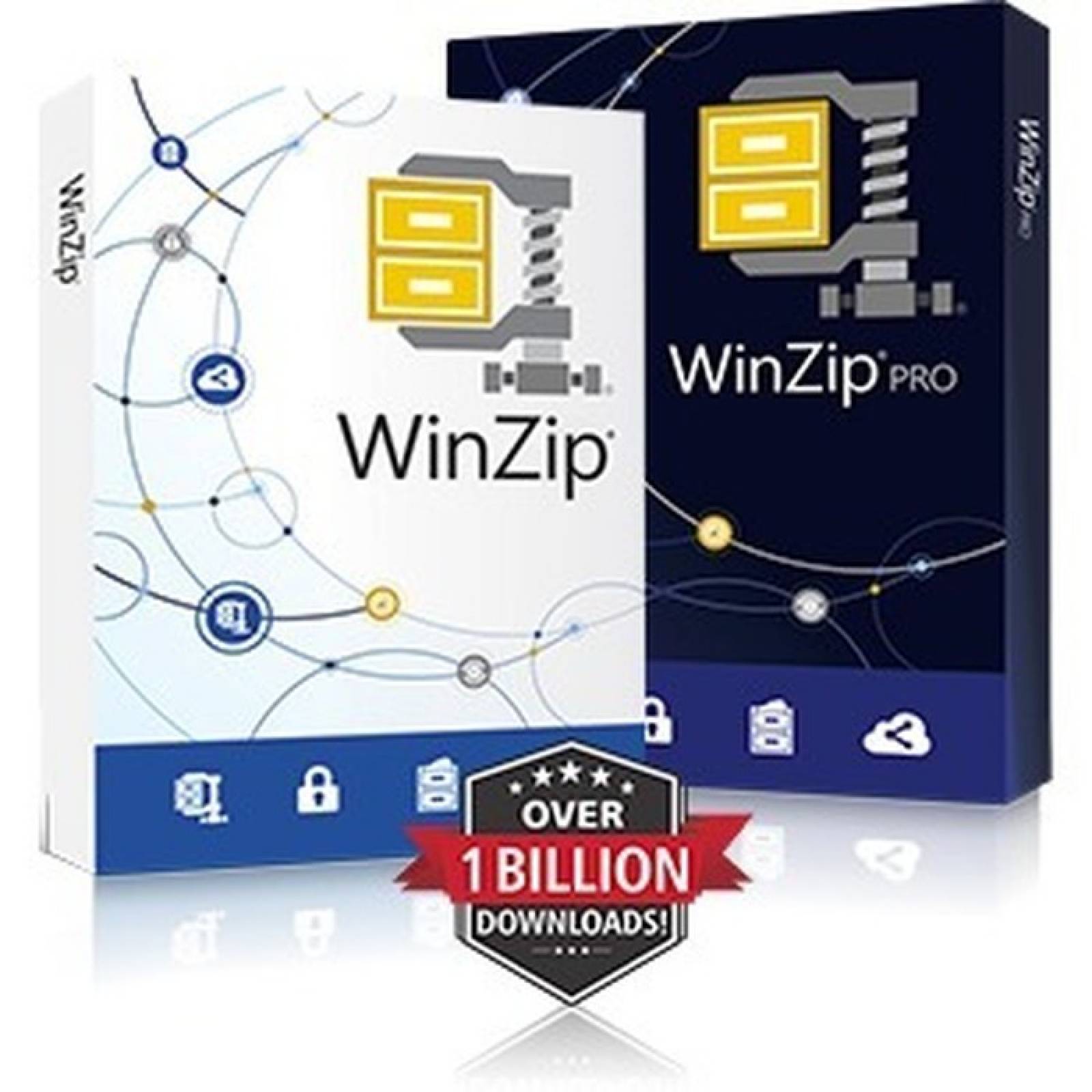WinZip v220 Standard  Box Pack  1 usuario