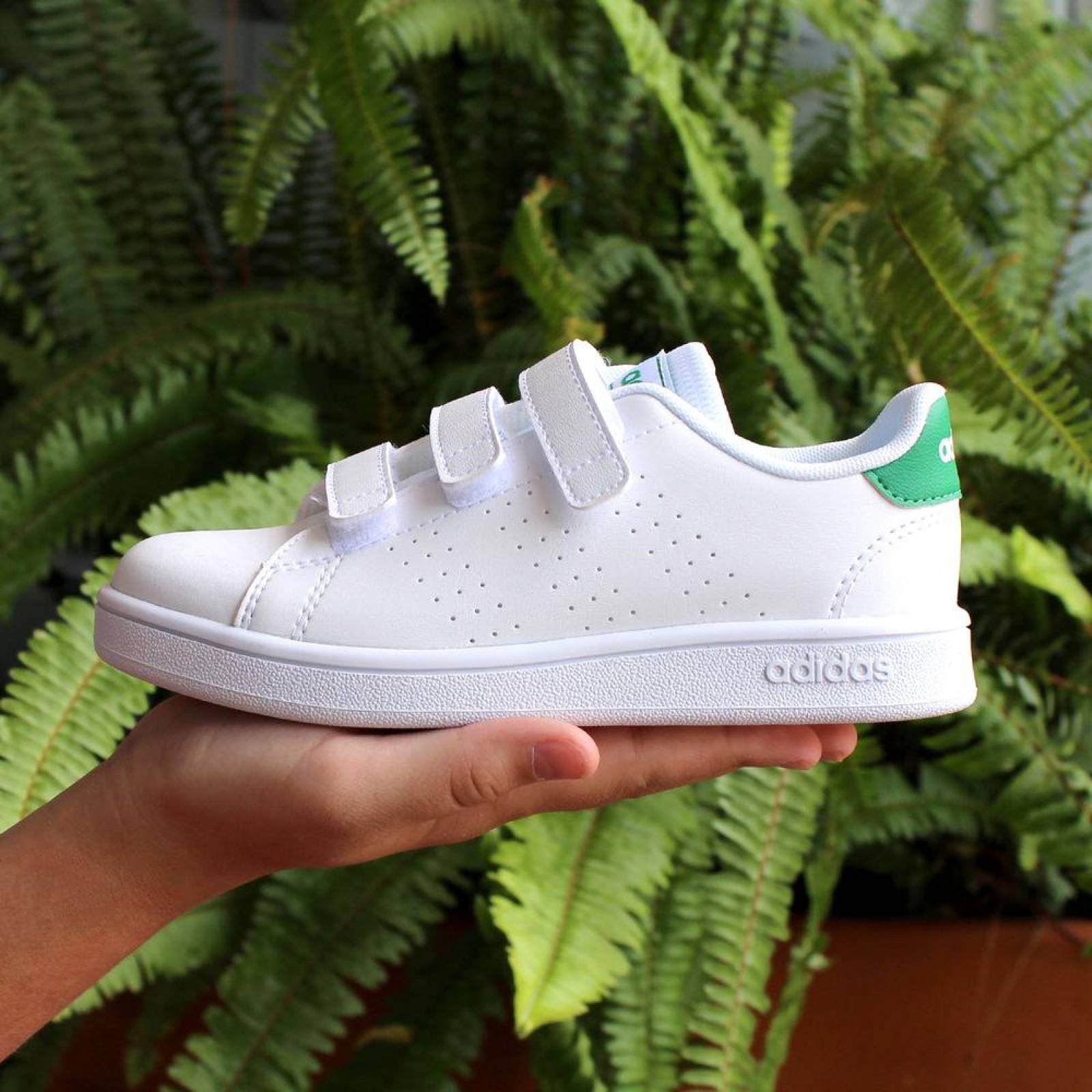 Tenis Adidas Advantage C - EF0223 - Blanco - Niños 