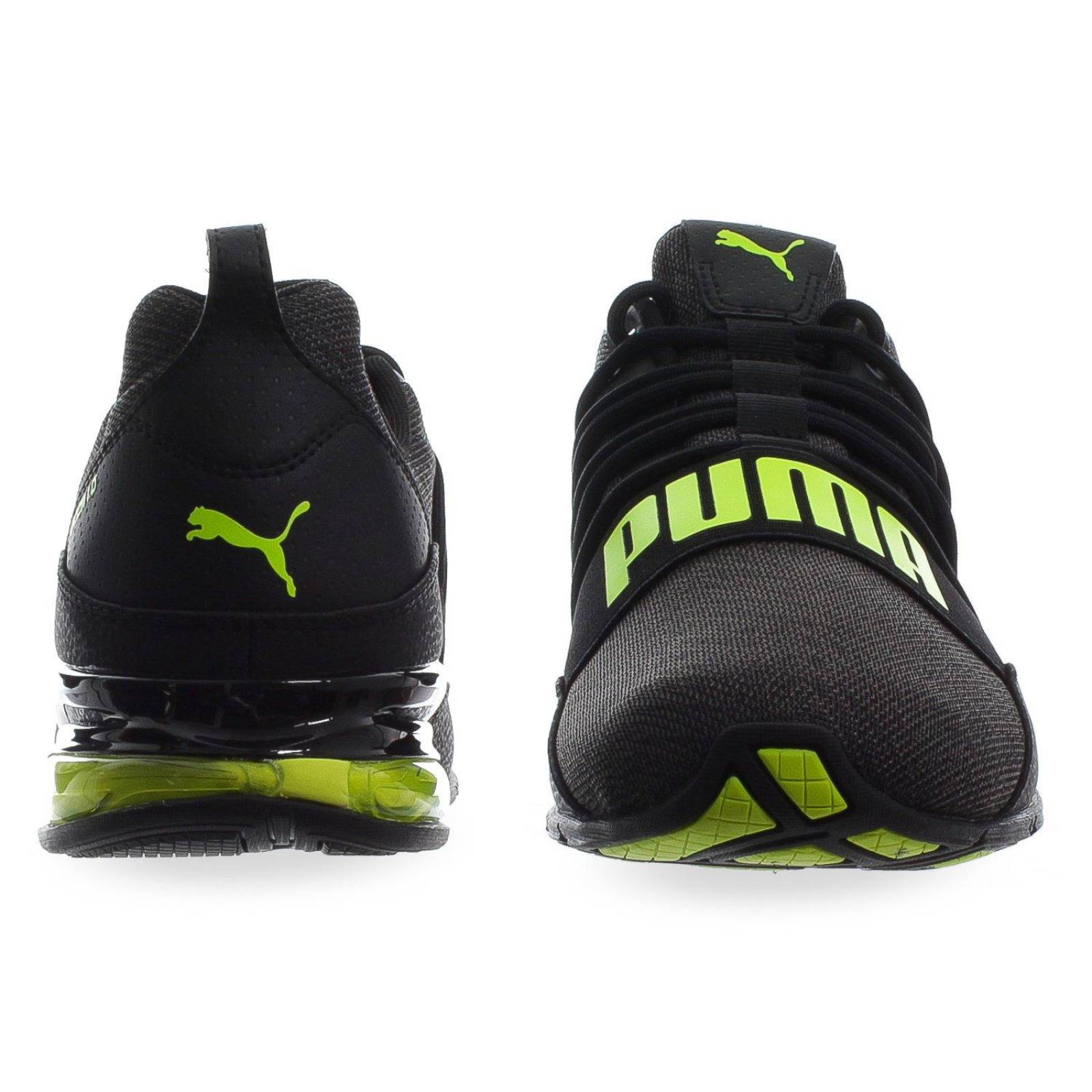 tenis puma cell regulate