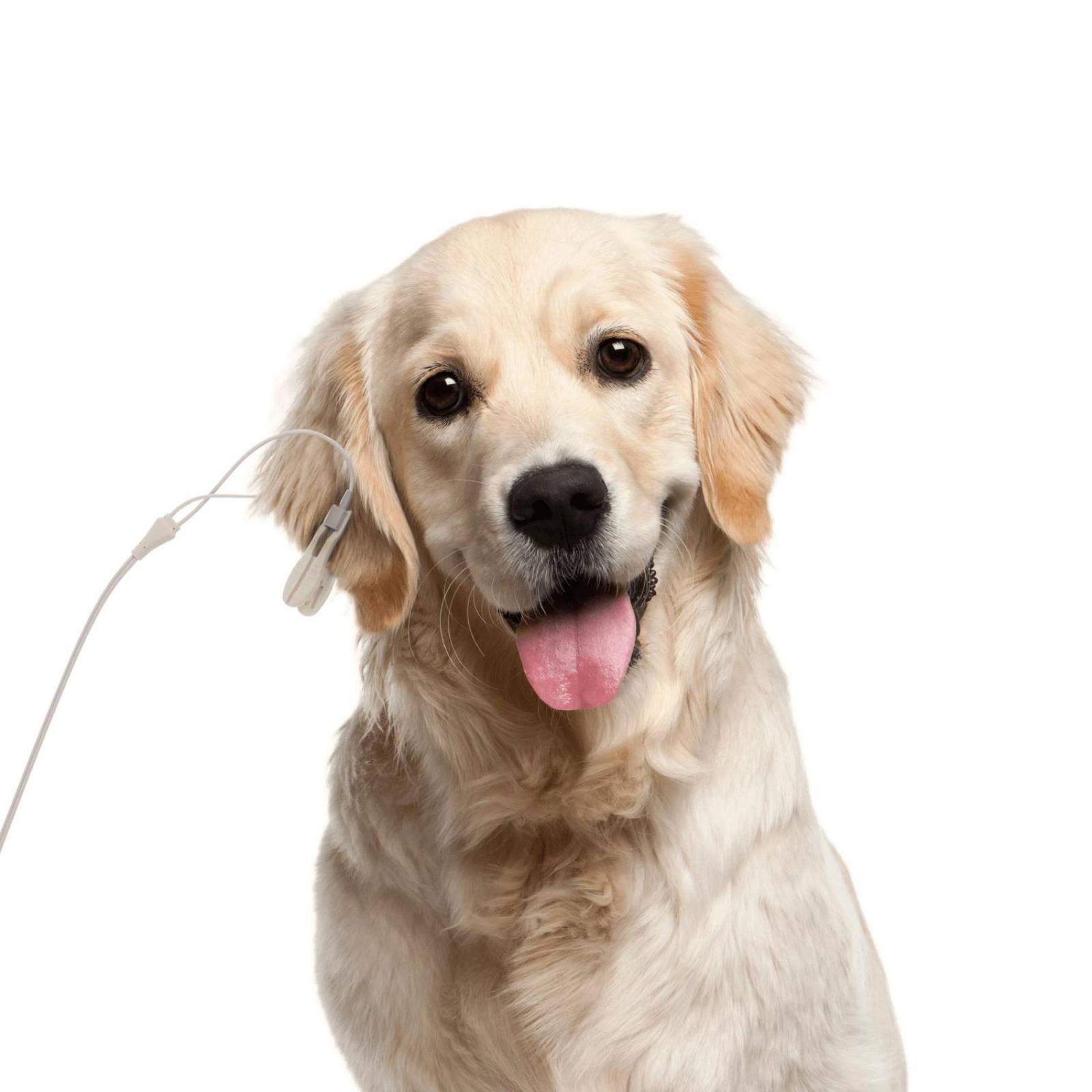 Monitor de Signos Vitales 08A Veterinario - Contec