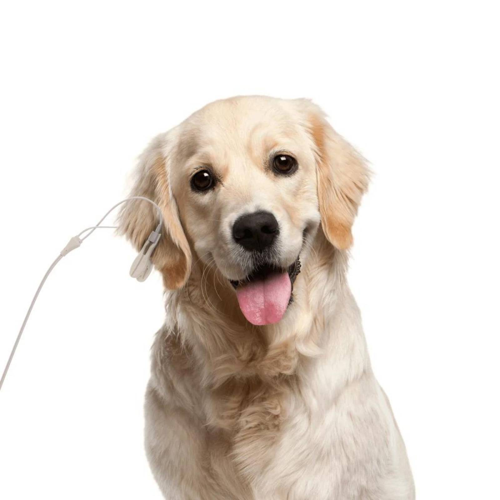 Sensor de Oximetro para Monitor 08A Veterinario - Contec 