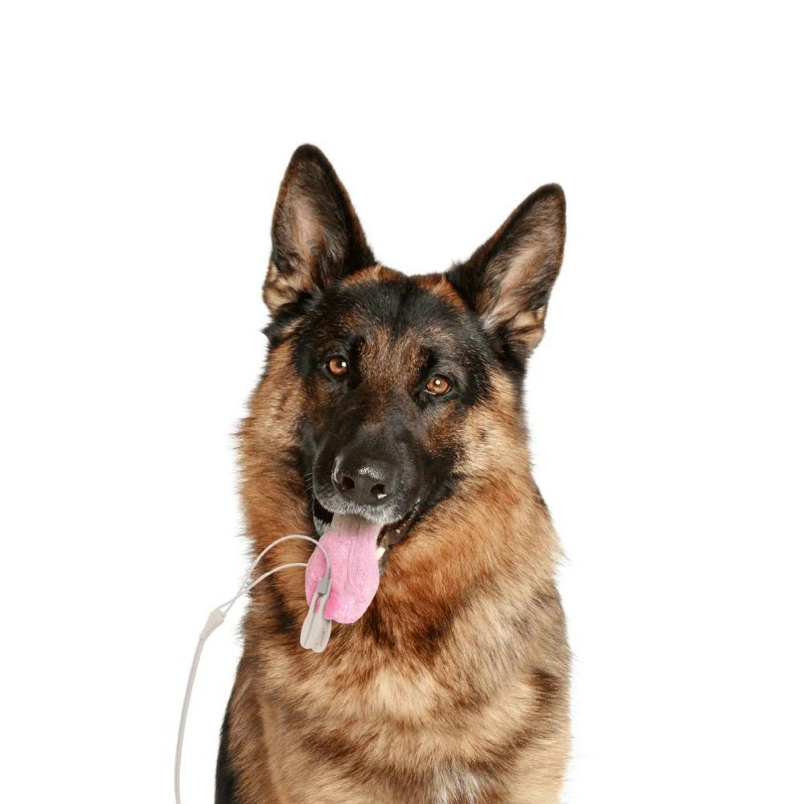 Sensor de Oximetro para Monitor 08A Veterinario - Contec 