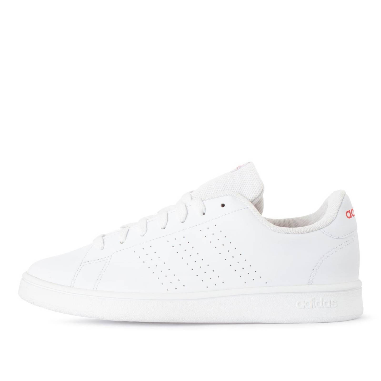 Tenis Adidas Advantage Base - HP6206 - Blanco - Hombre