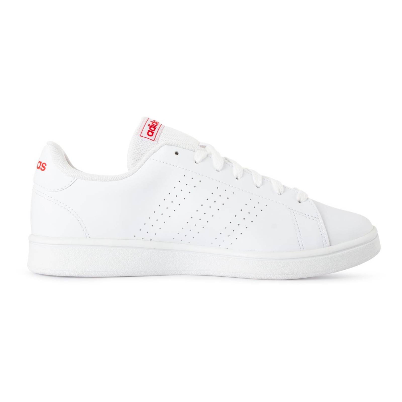 Tenis Adidas Advantage Base - HP6206 - Blanco - Hombre