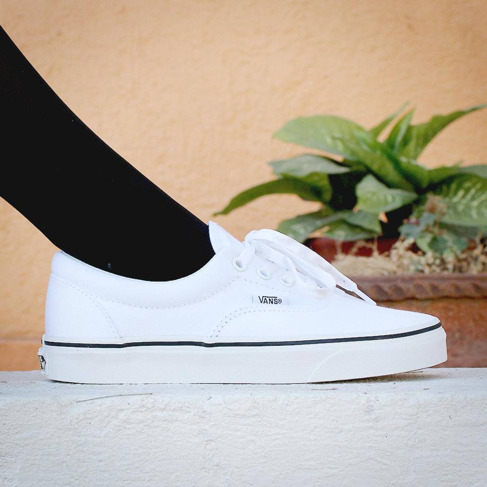 vans era purpura