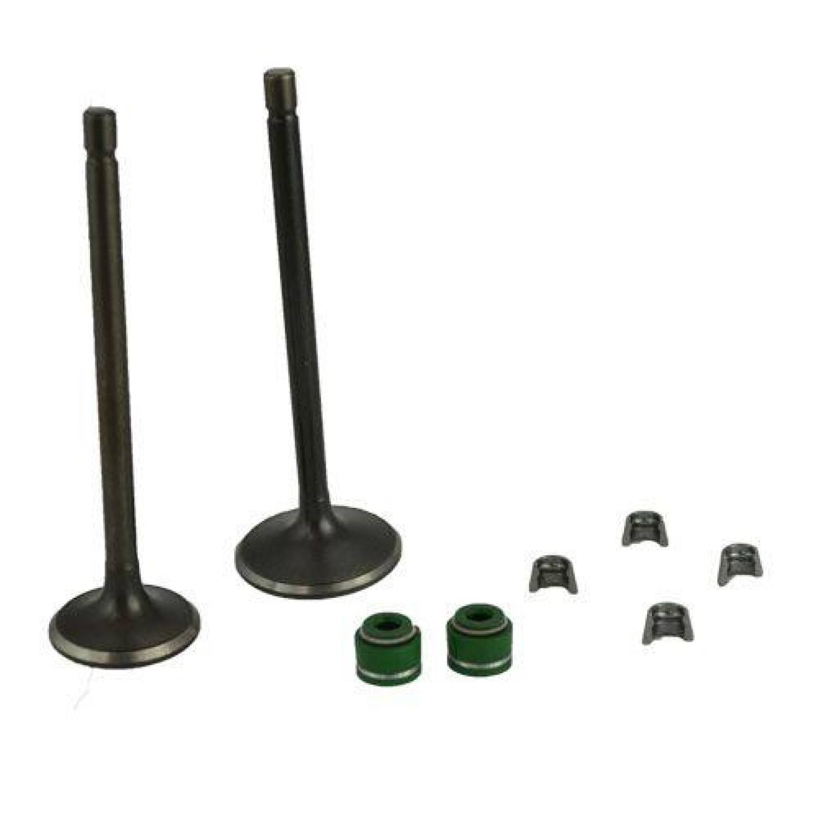 Juego valvulas admisión/escape AT110