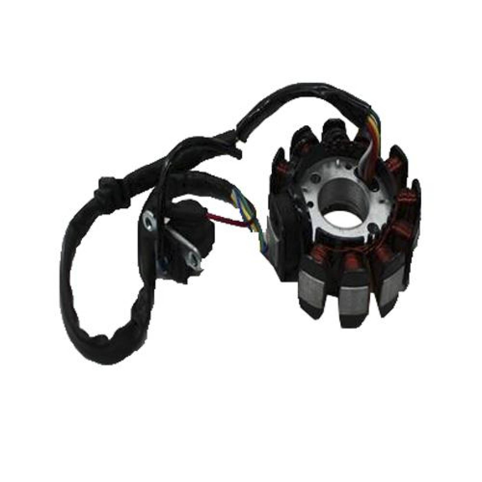 Estator Completo Ds150 8 Bobinas Tanoshi 
