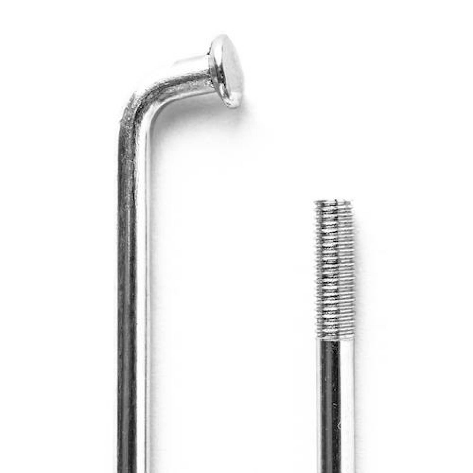 Rayos Traseros DM150 