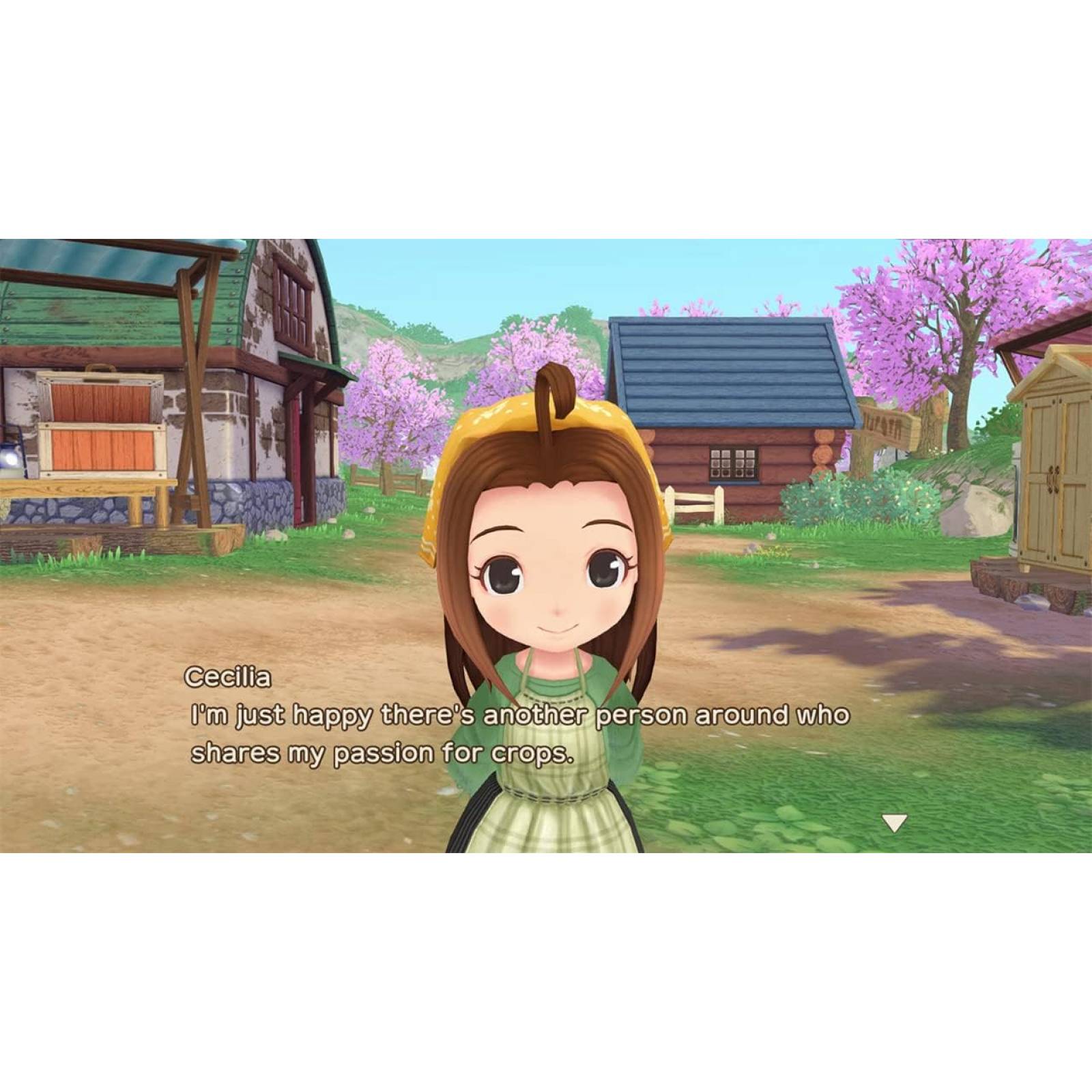 Story of Seasons: A Wonderful Life - Nintendo Switch