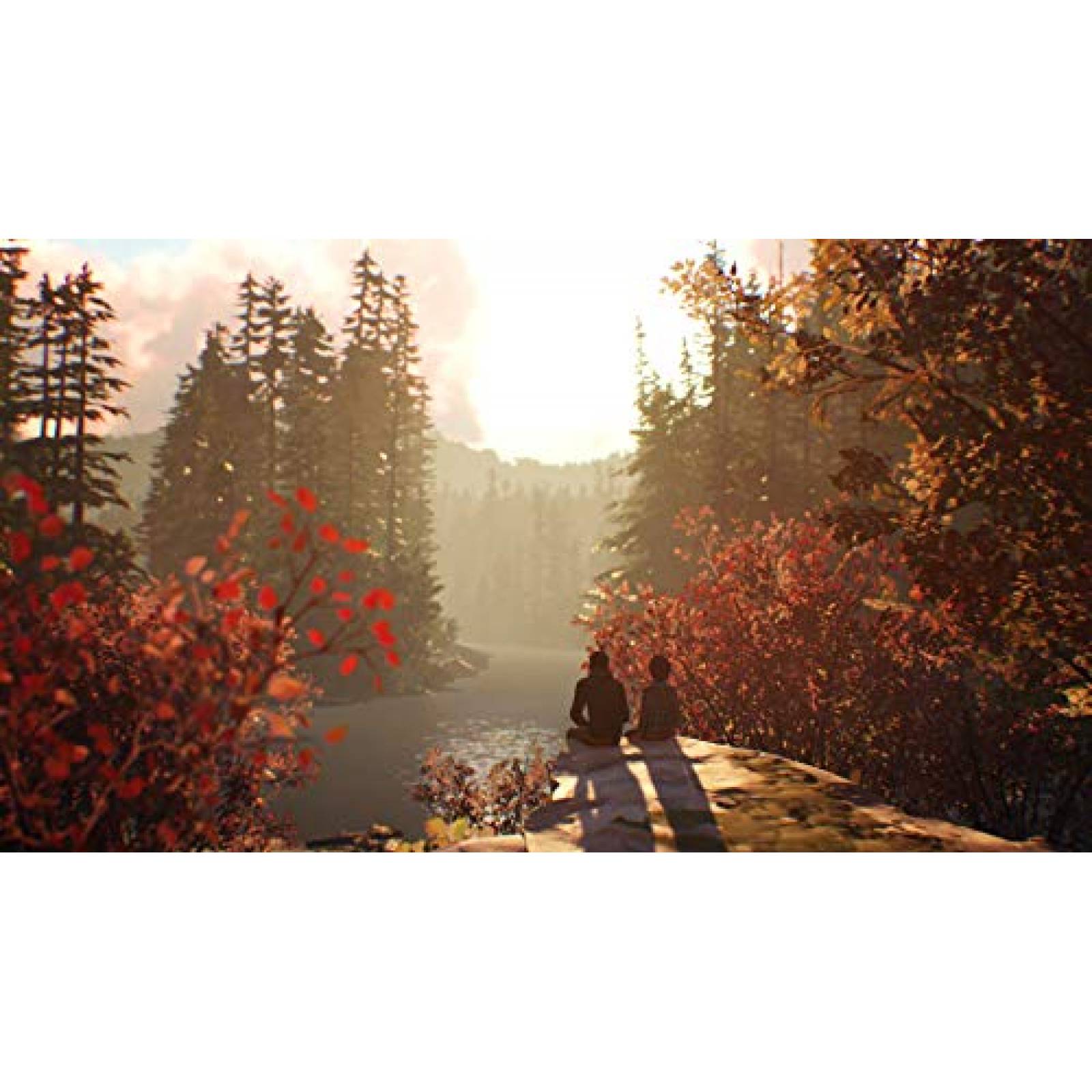 Análisis de Life is Strange 2: Episodio 2 - Xbox One