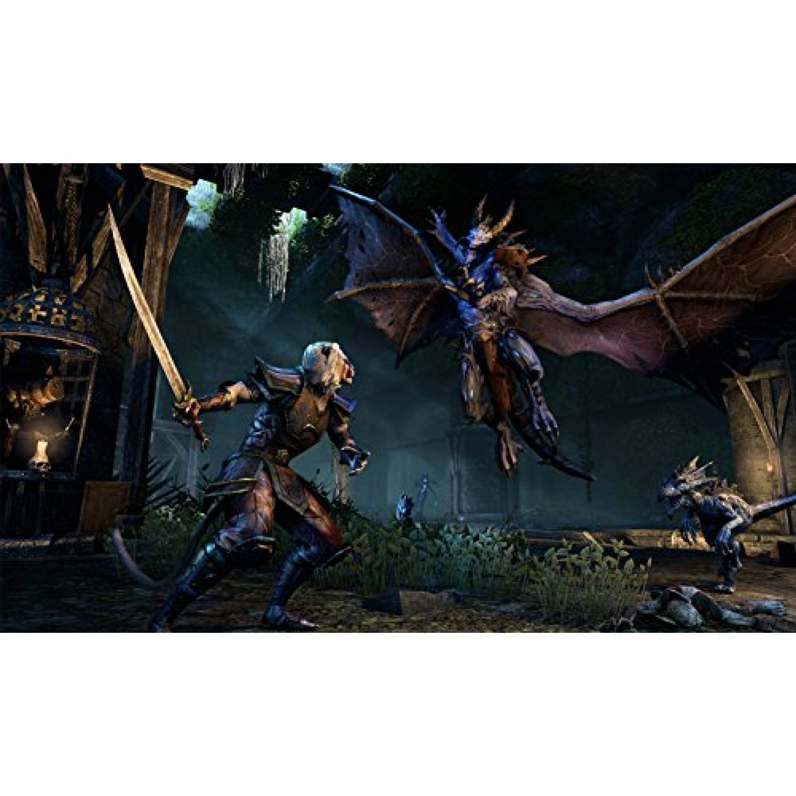 The Elder Scrolls Online Gold Edition - Xbox One