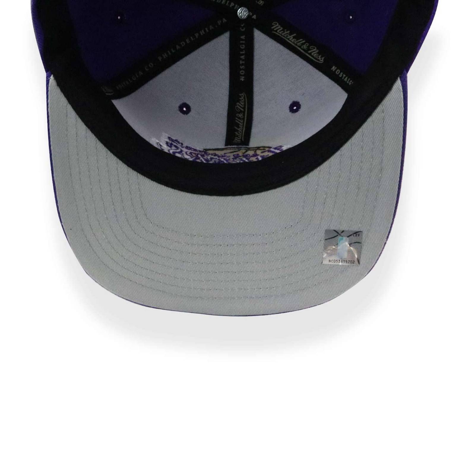 Gorra Mitchell & Ness NBA Tapestry Lakers Violeta Unitalla 