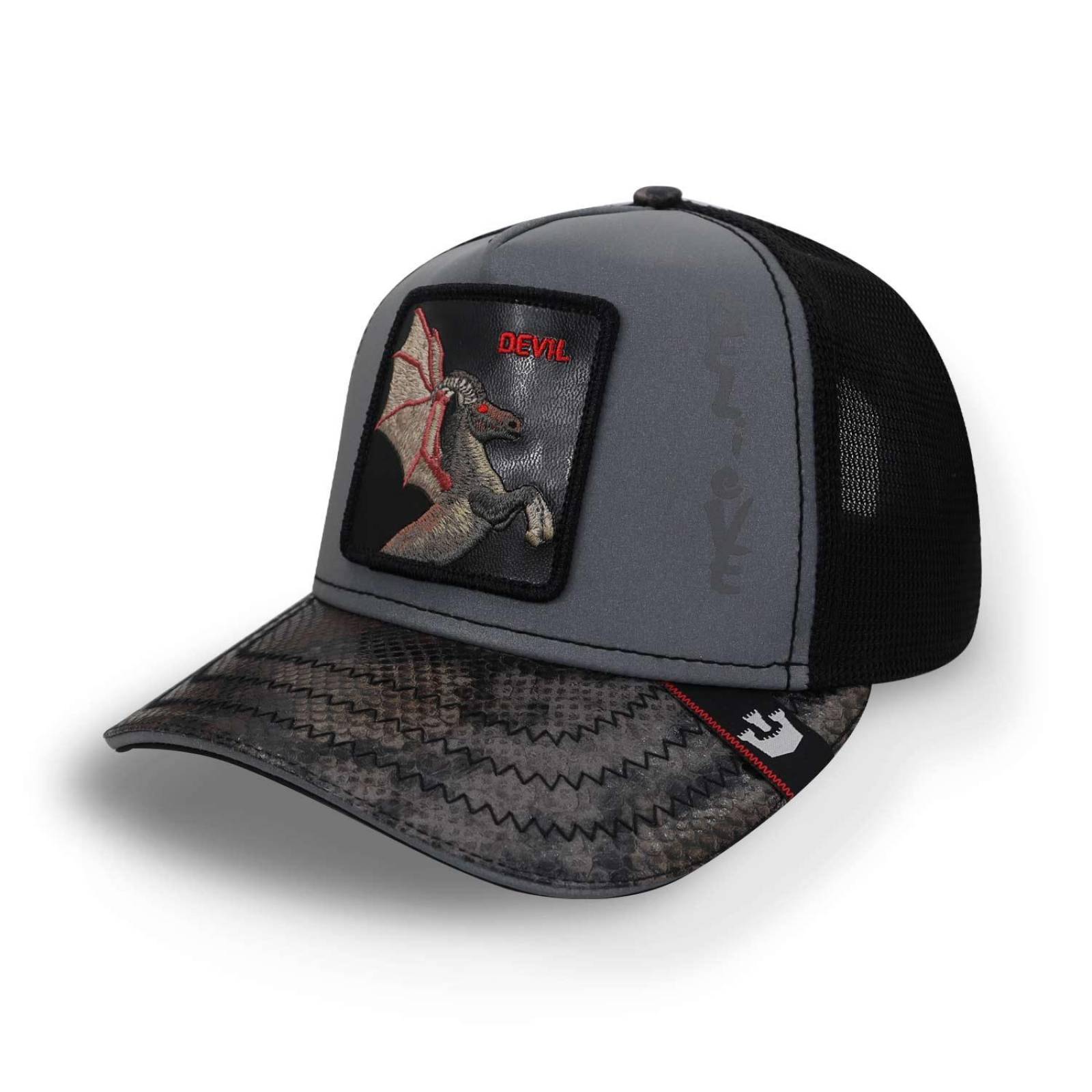 Gorra Goorin Bros 101-0666 Jersey Devil Gris Oscuro Unitalla 