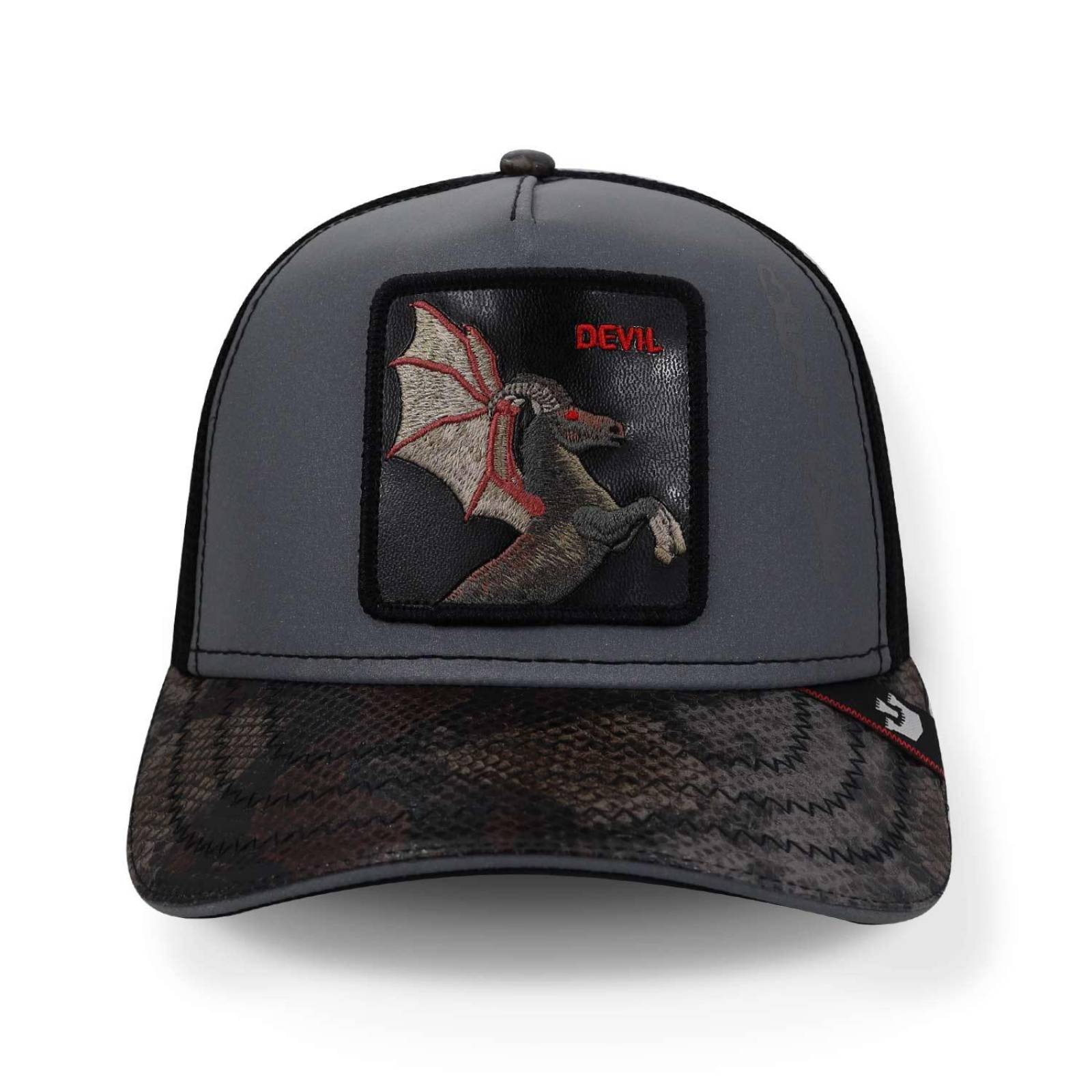 Gorra Goorin Bros 101-0666 Jersey Devil Gris Oscuro Unitalla 