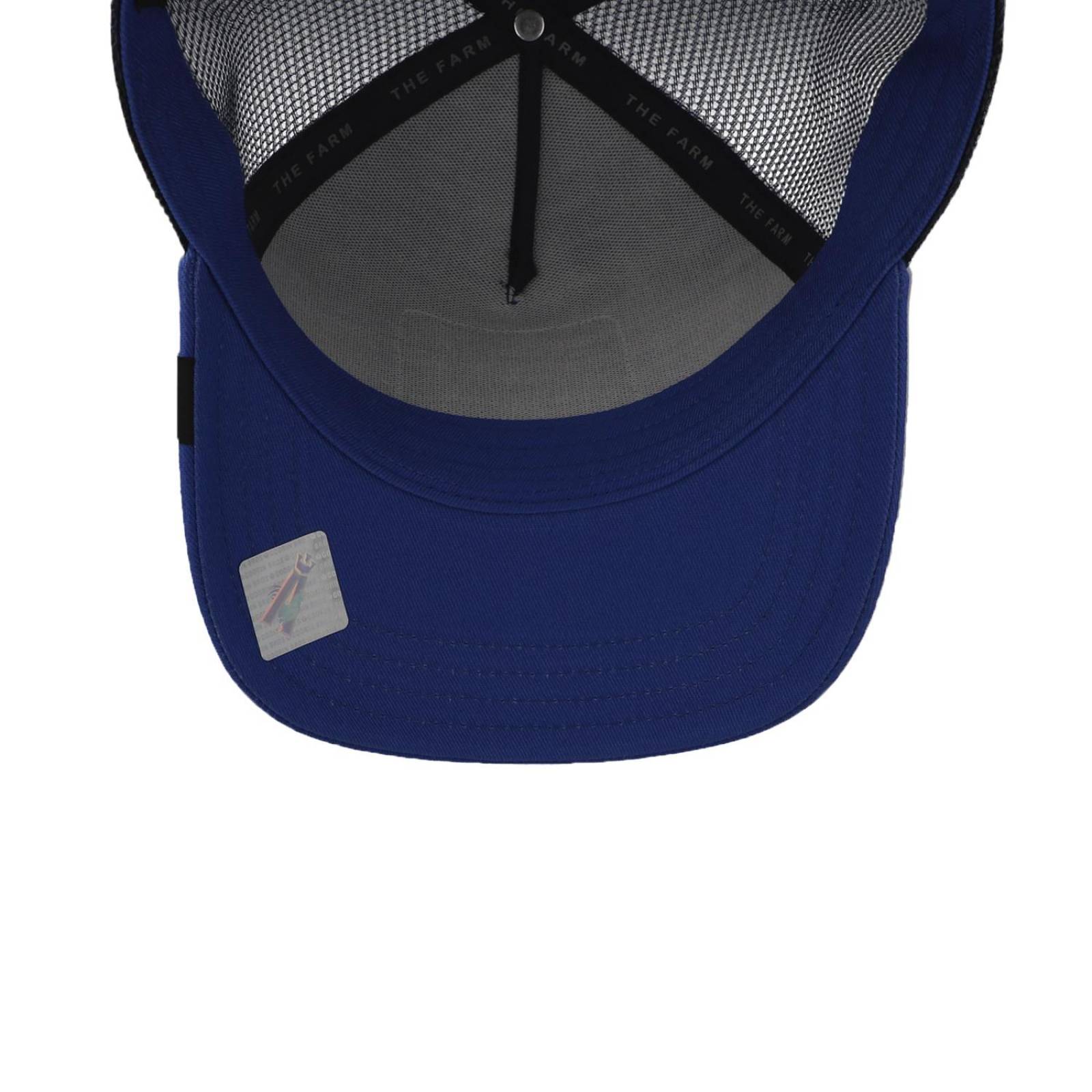 Gorra Goorin Bros 101-0381 Black The Panther Royal Azul Unitalla 