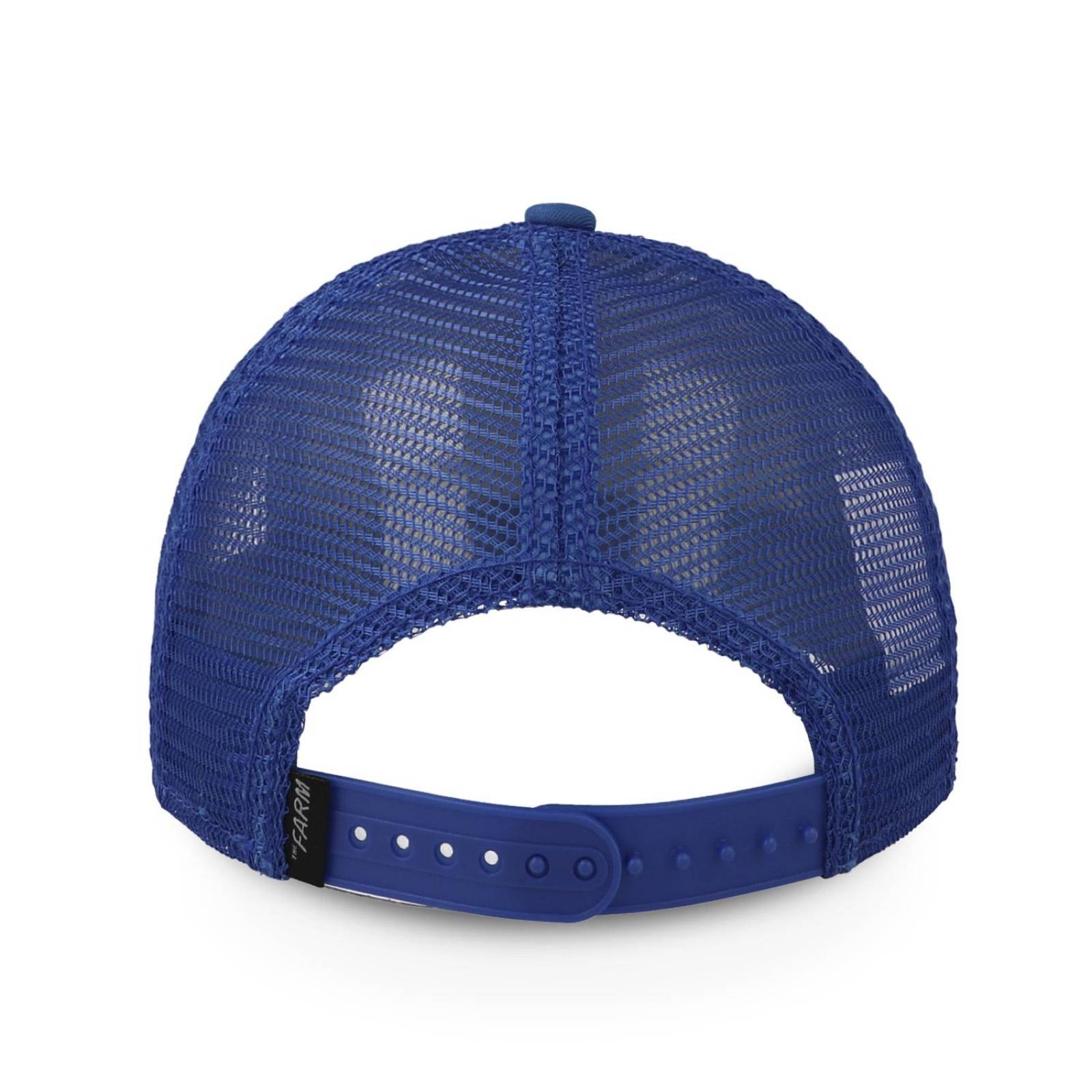 Gorra Goorin Bros 201-0046 Stripe Earner Para Joven Azul Unitalla 